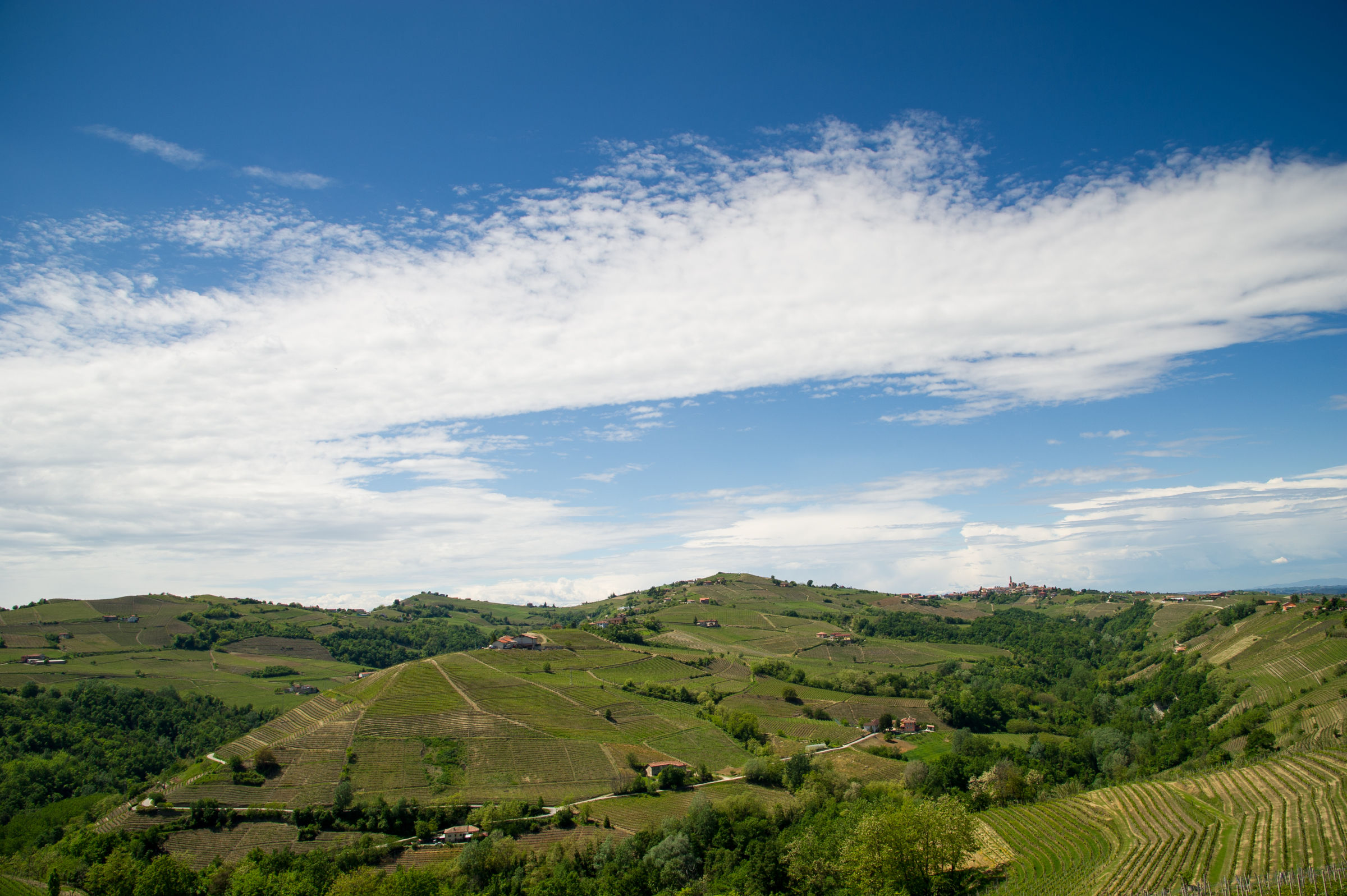 Colline piemontesi