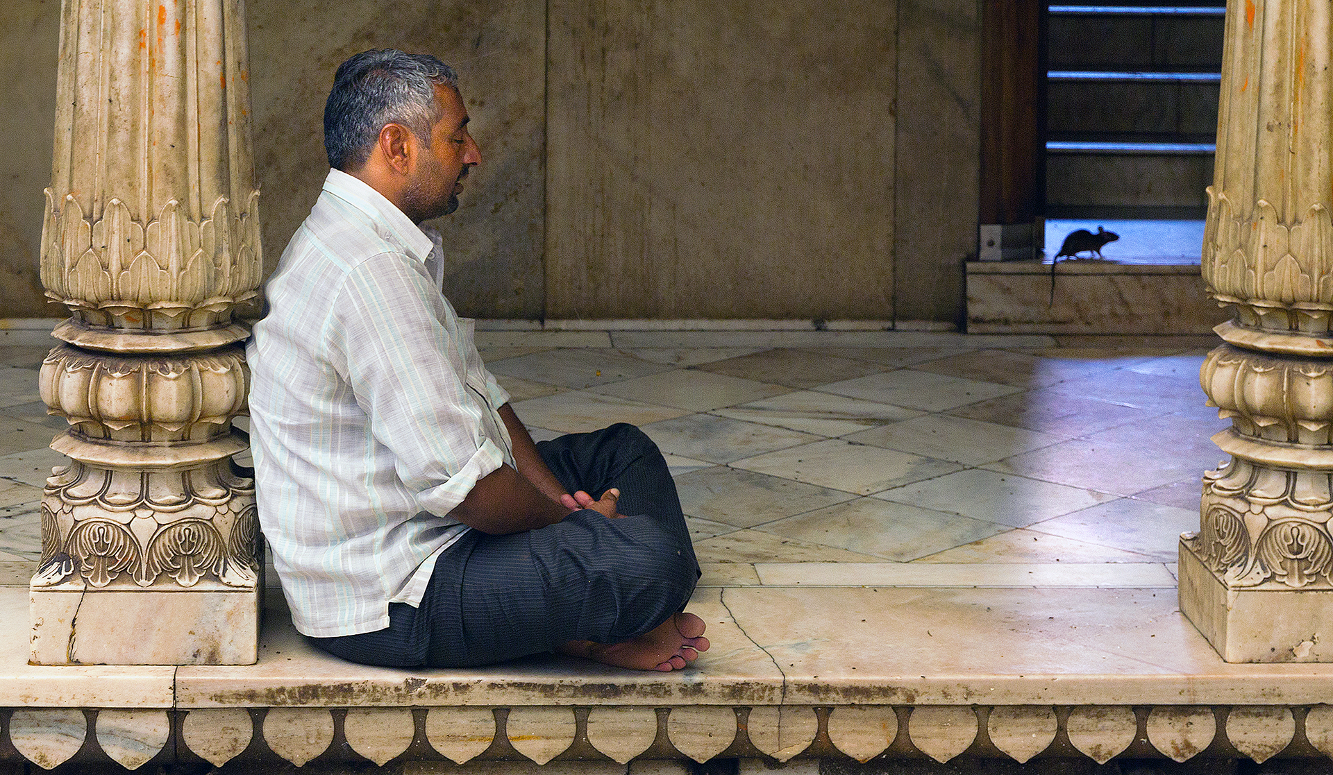 Prayer in the Karni Mata Temple