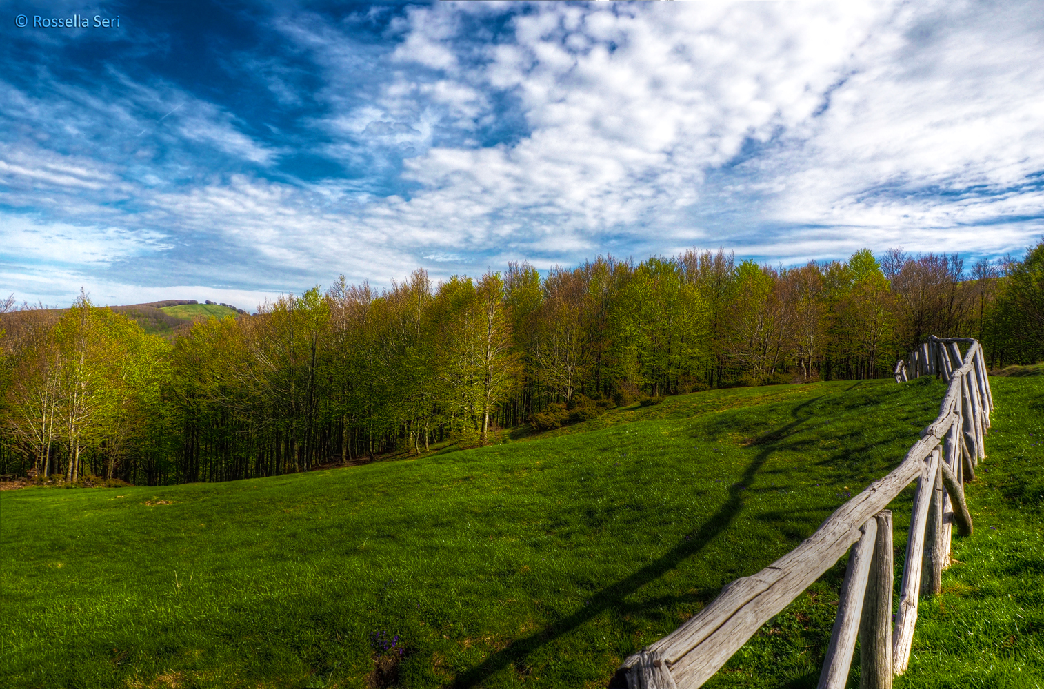 La bellezza della natura