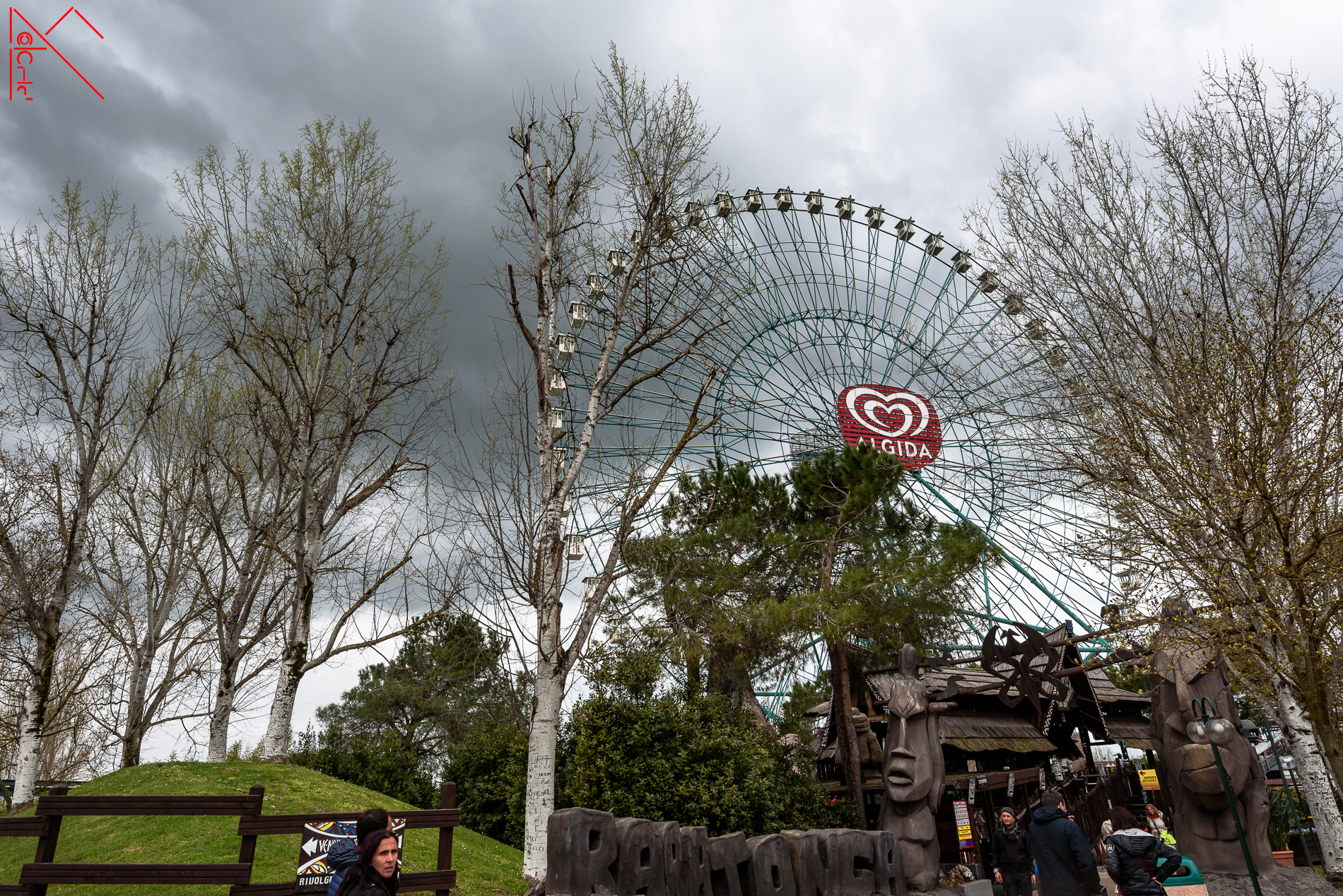 Under a gray sky ash