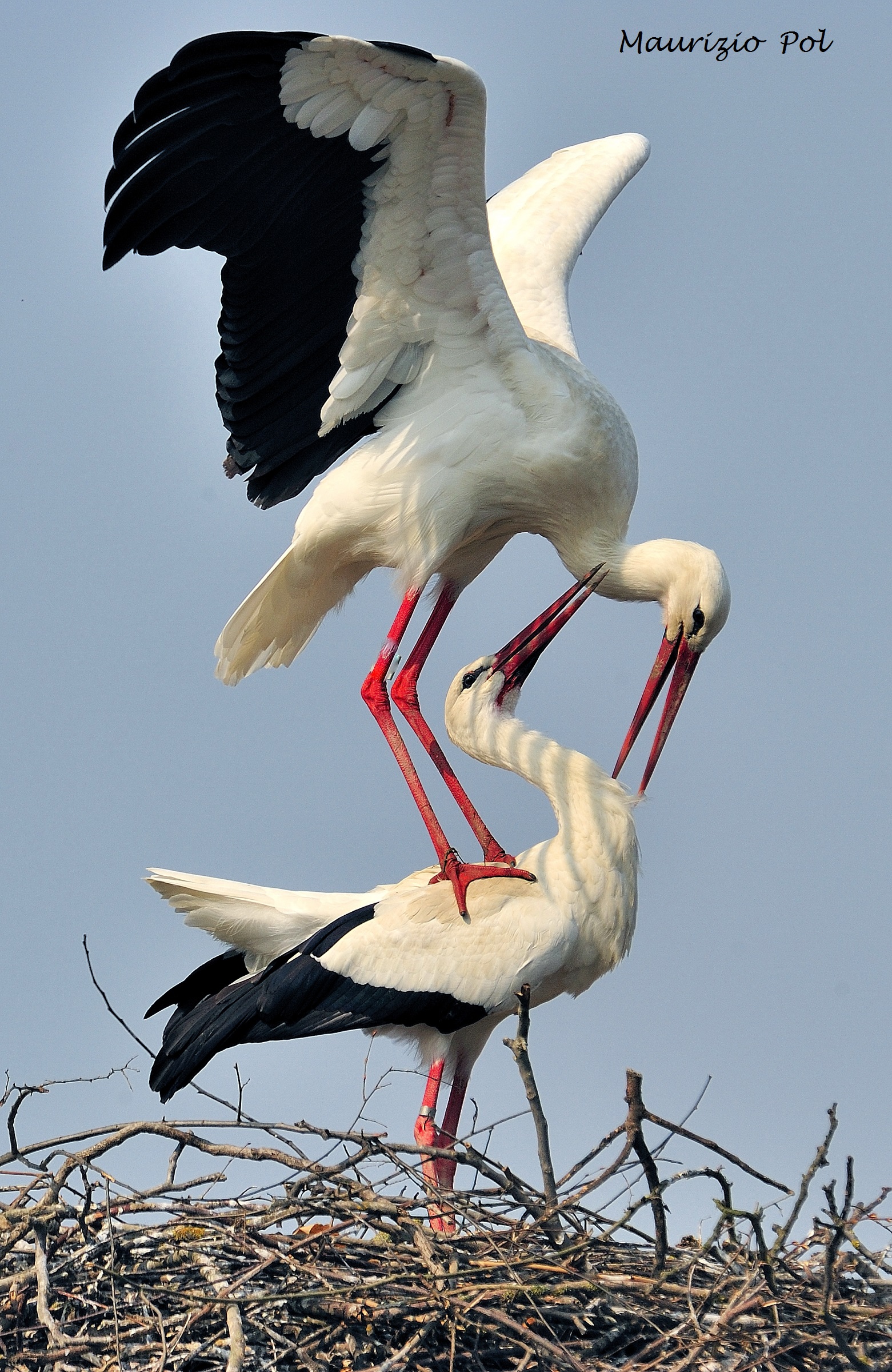 in the coupling step