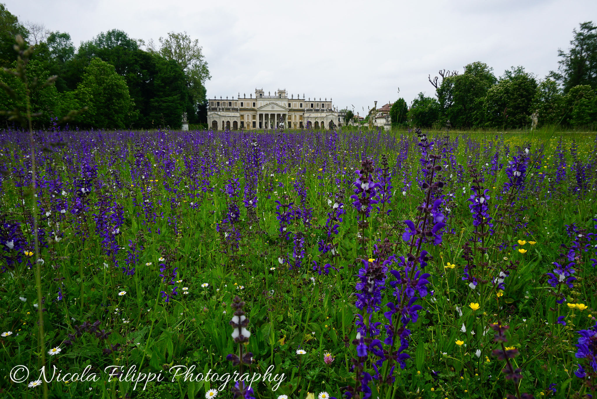 Parco e scuderie a Villa Pisani