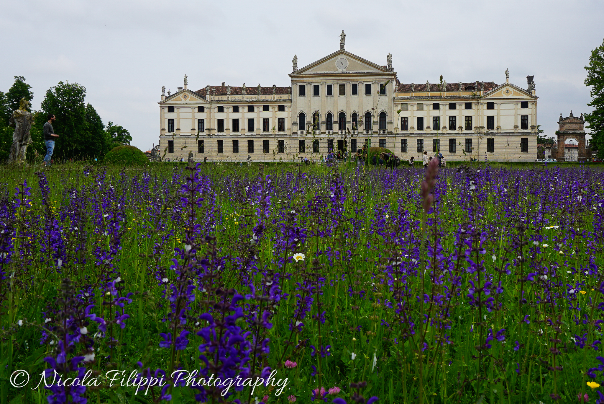 Villa Pisani in viola