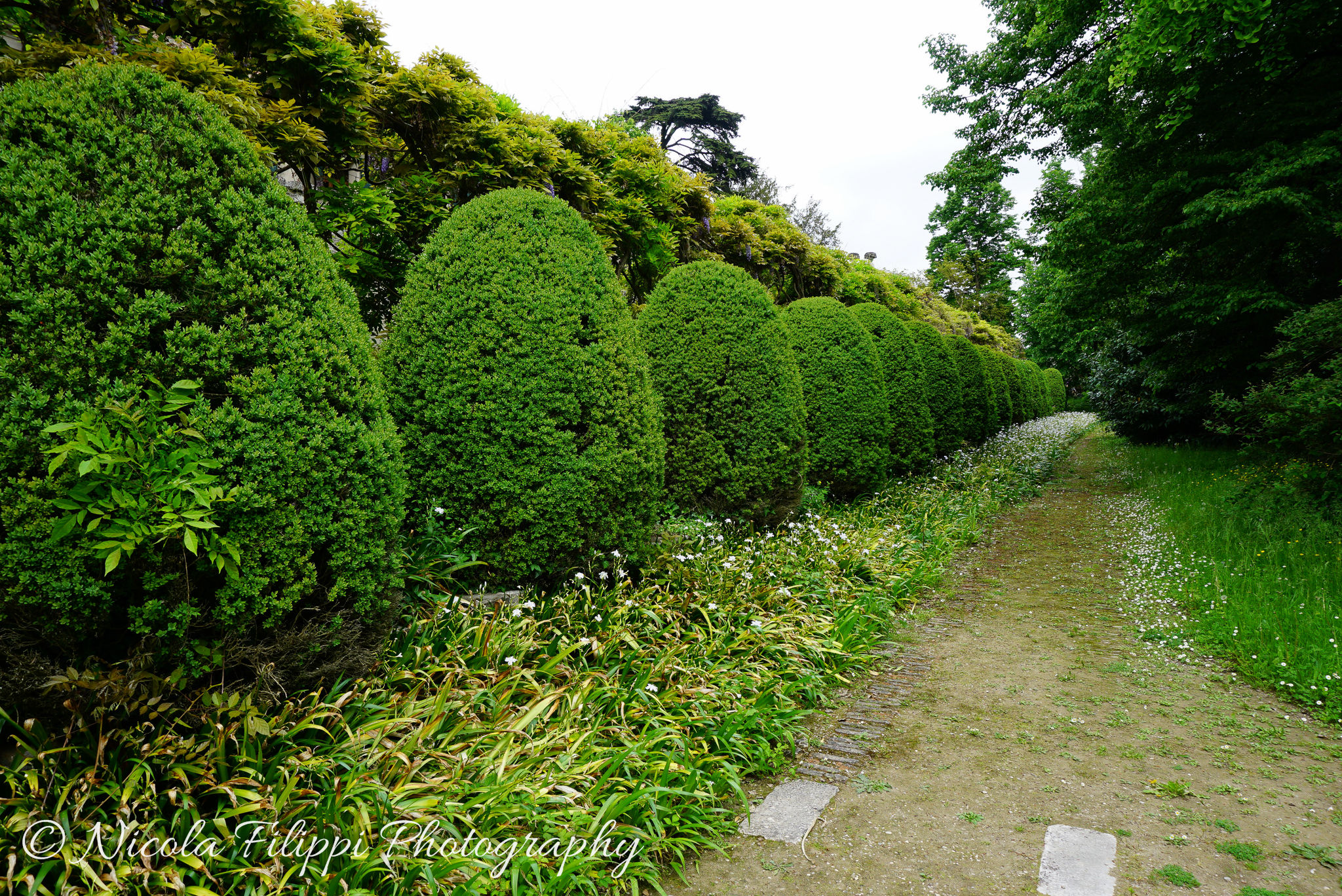 Tutti in fila indiana!