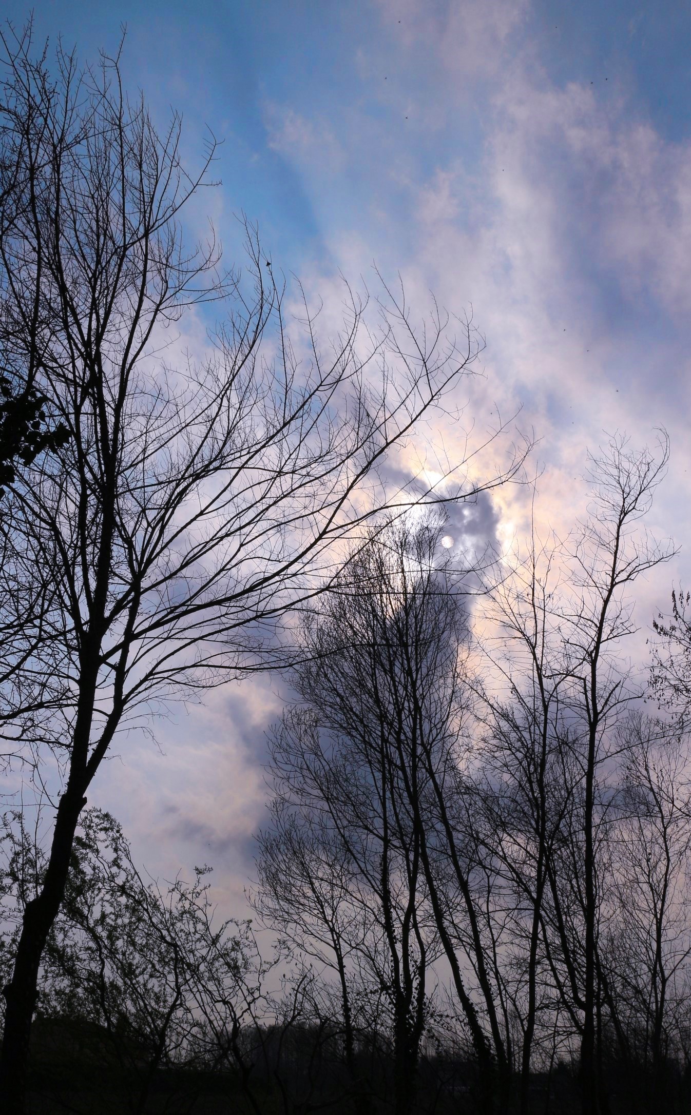 Strolling under the sky ...