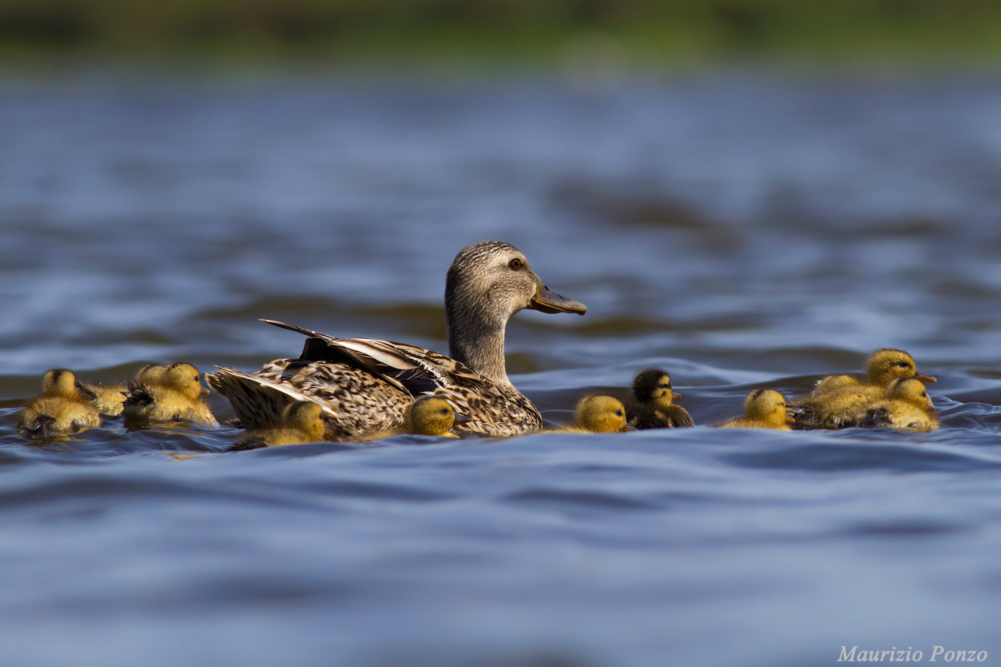 First baths ........