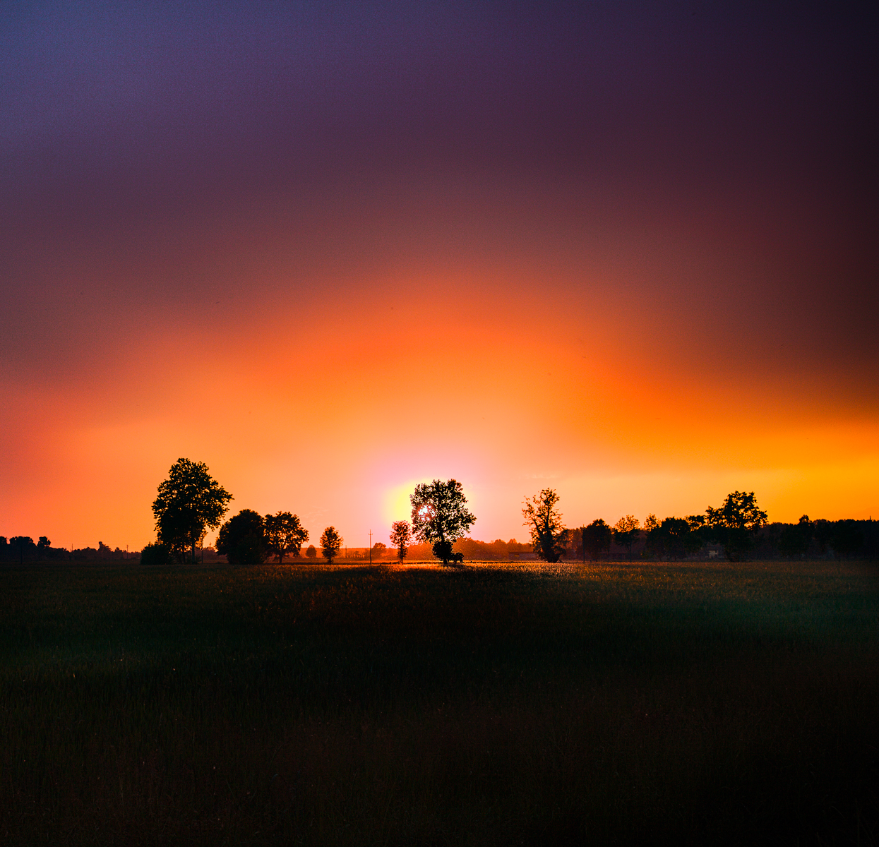 Tramonto della Bassa