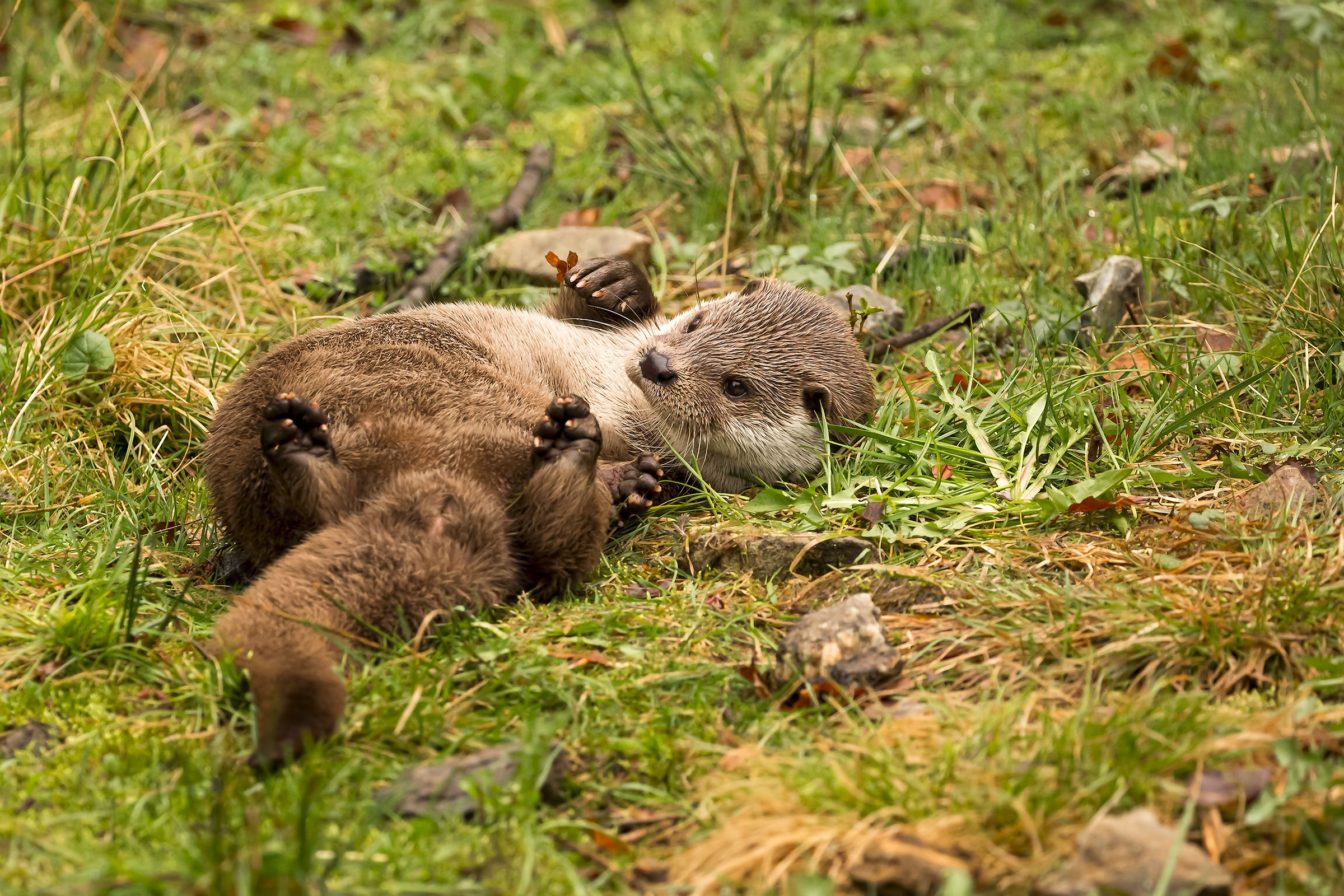 I want lots of cuddles