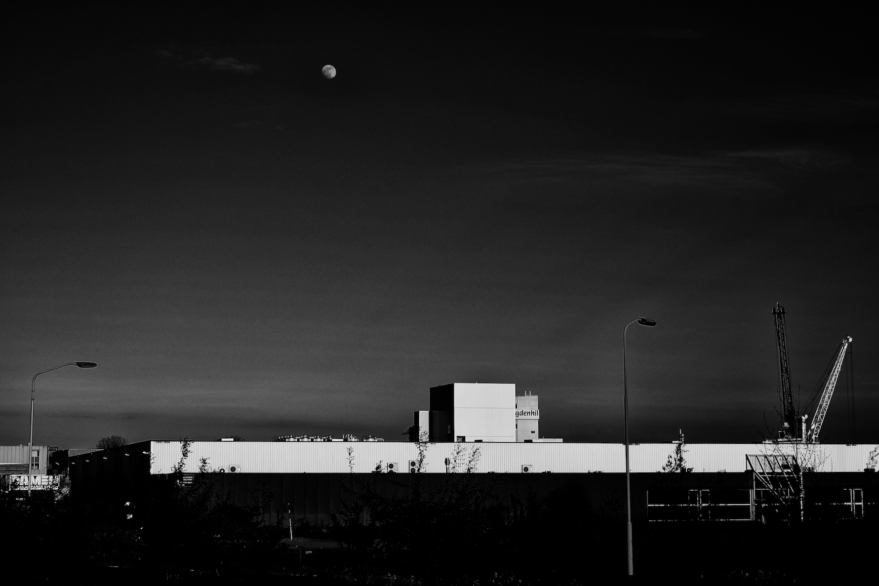 Moonrise, Rotterdam 2015