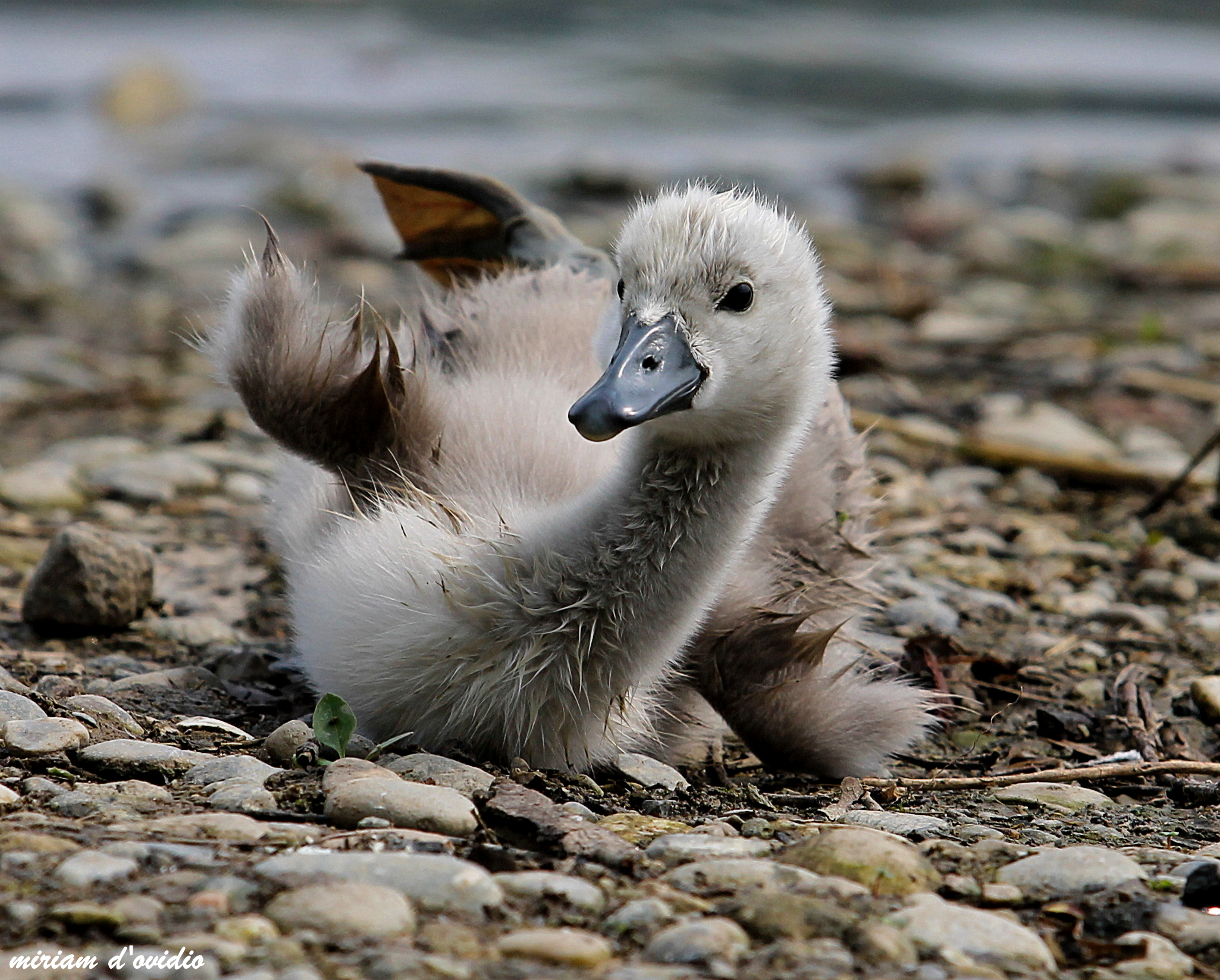 ginnastica all'asciutto