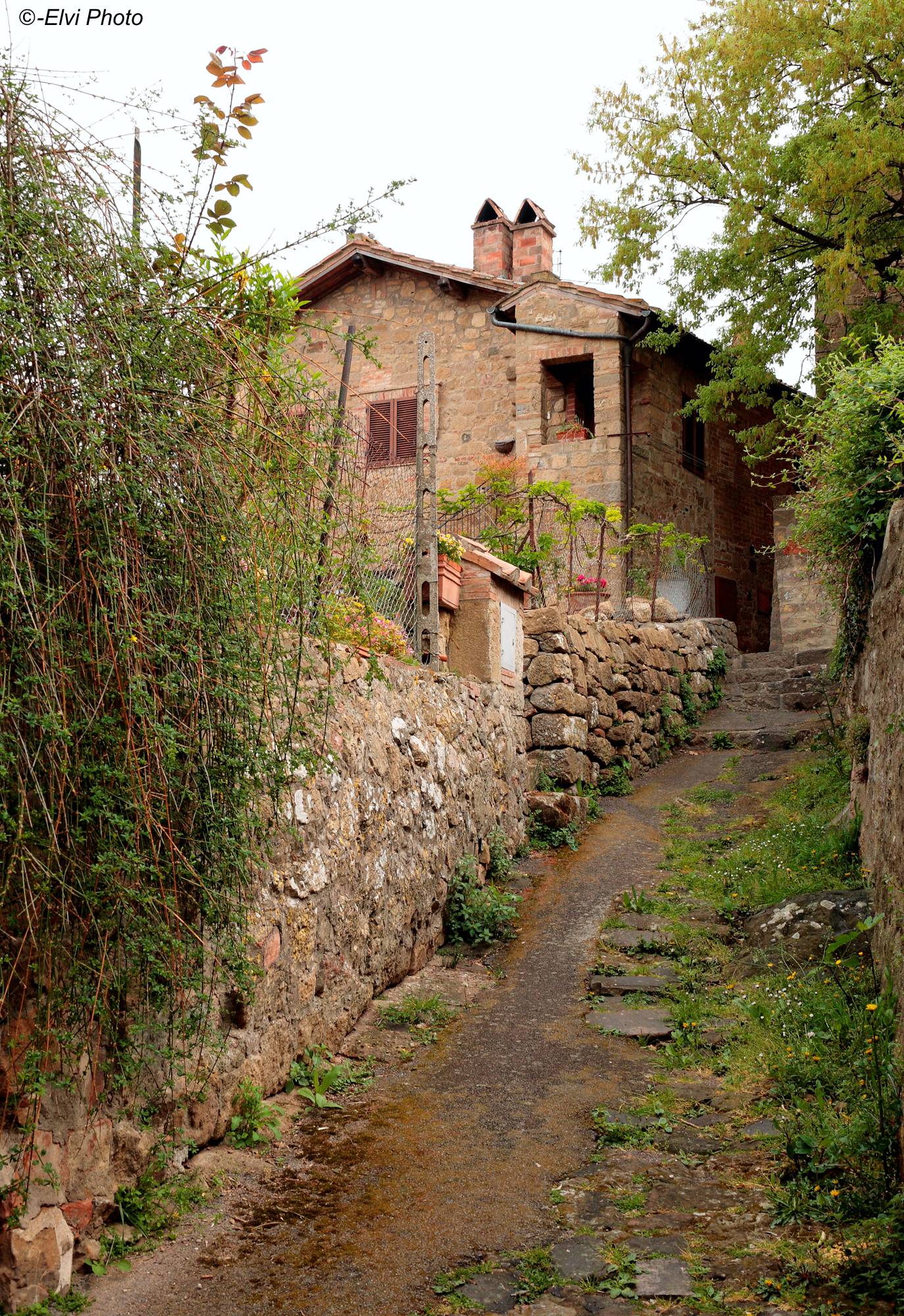 Climb to the Tower of Cassero