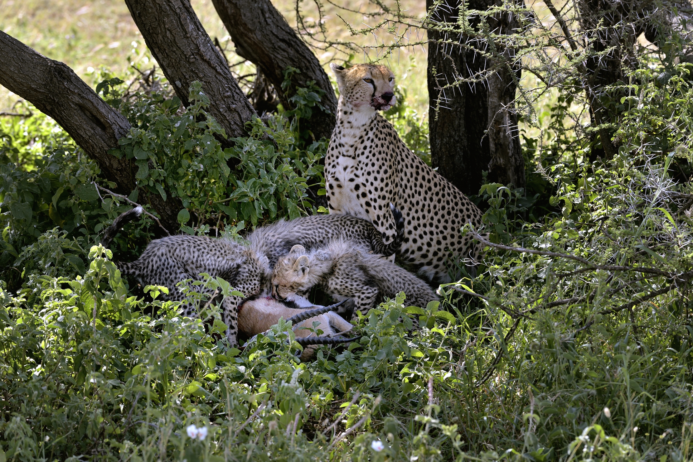 Tanzania 2015 - Che fame!!