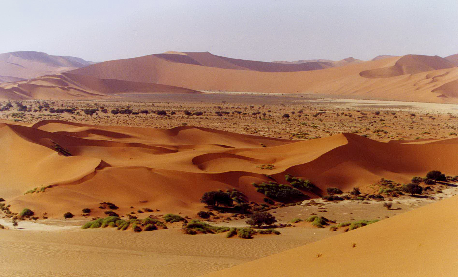 Namib