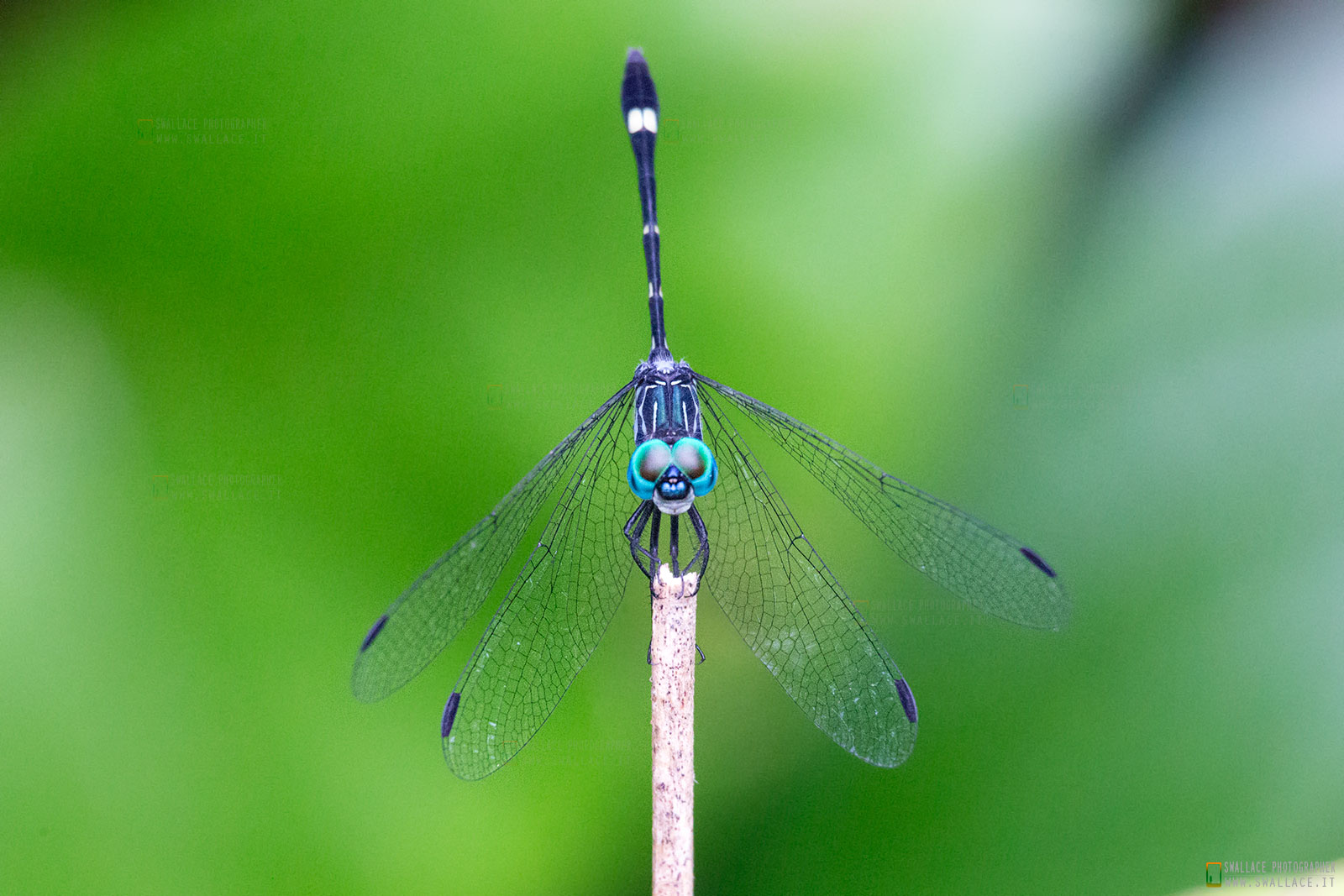 Cahuita National Park, Costa Rica