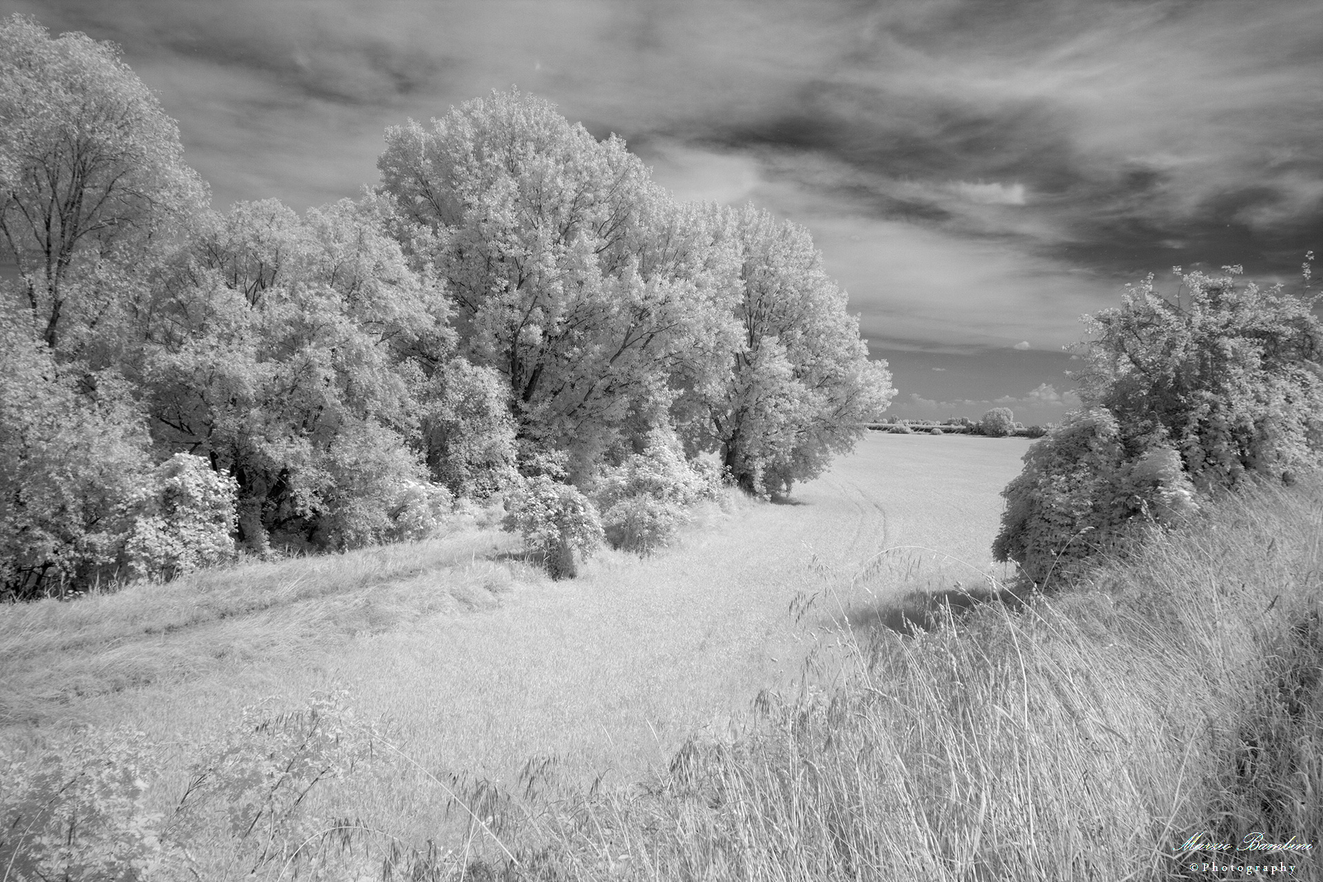 Legnago (vr), the flood plain of the Adige