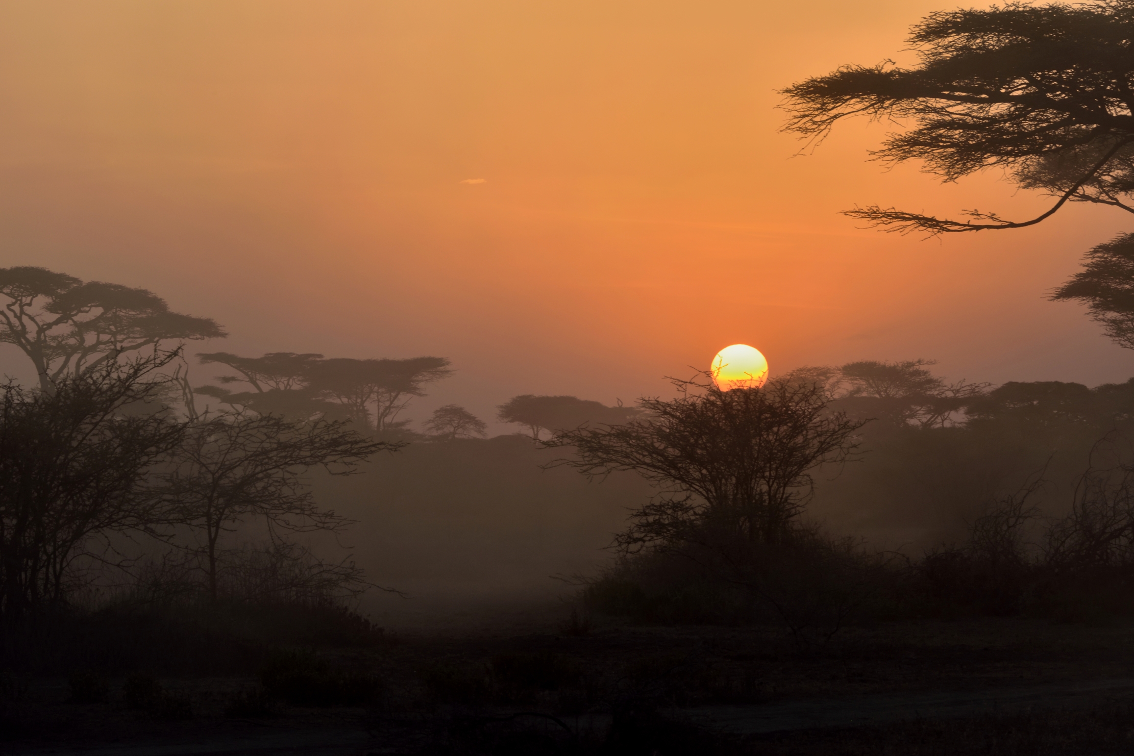 Tanzania 2015 - Tramonto
