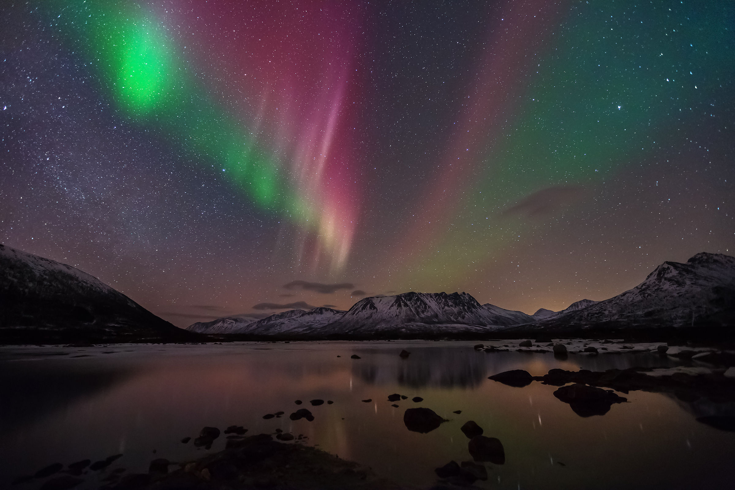 Aurora rose on Vesteralen