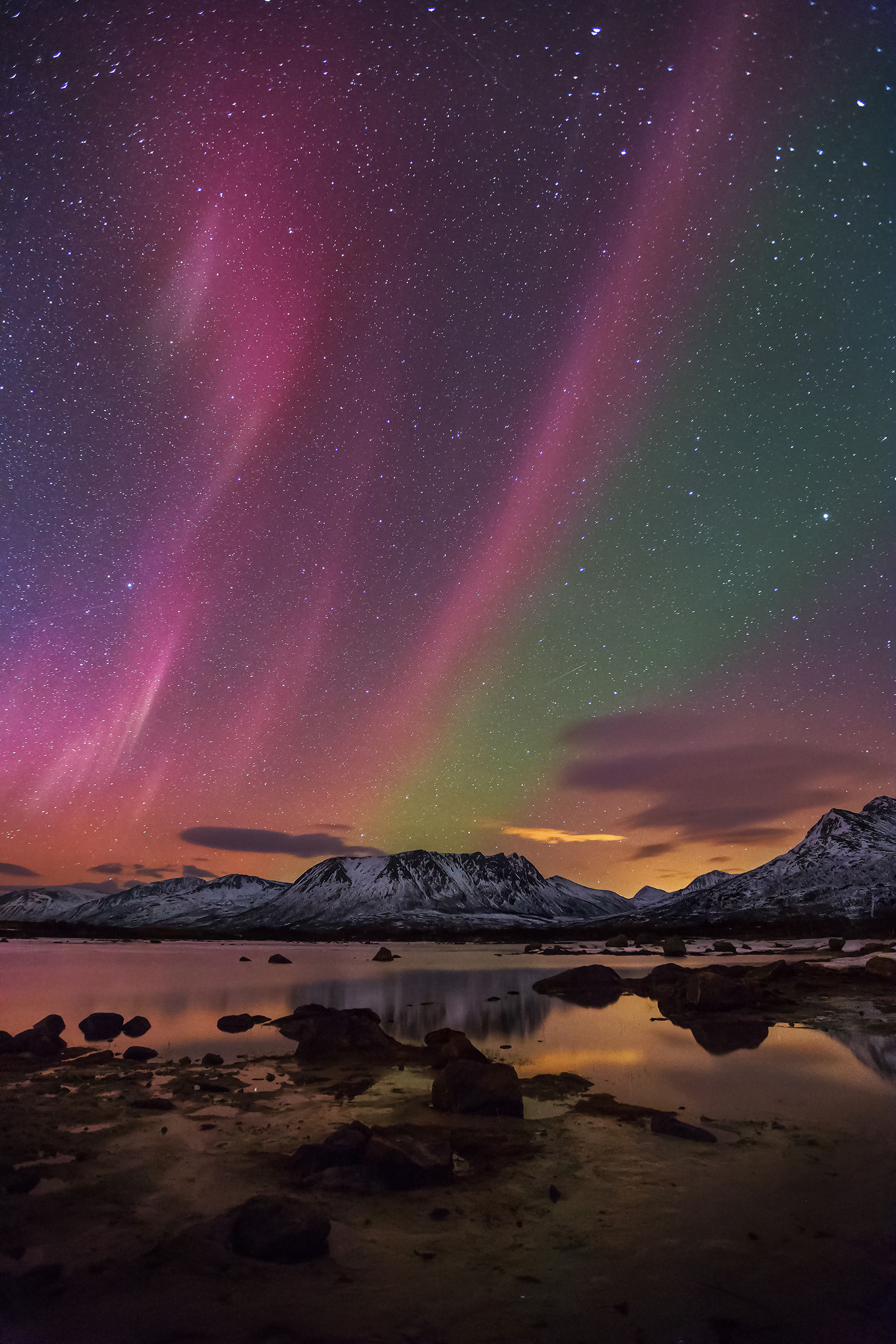 Aurora rose on Vesteralen