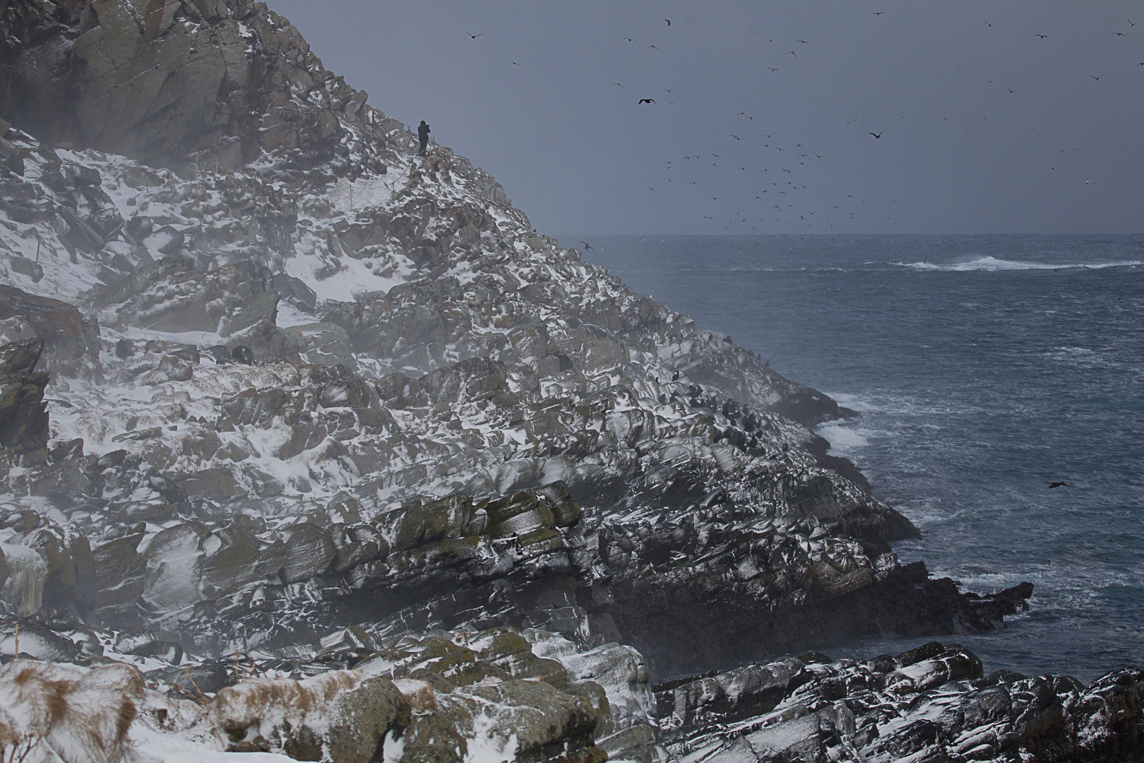daredevil photographer