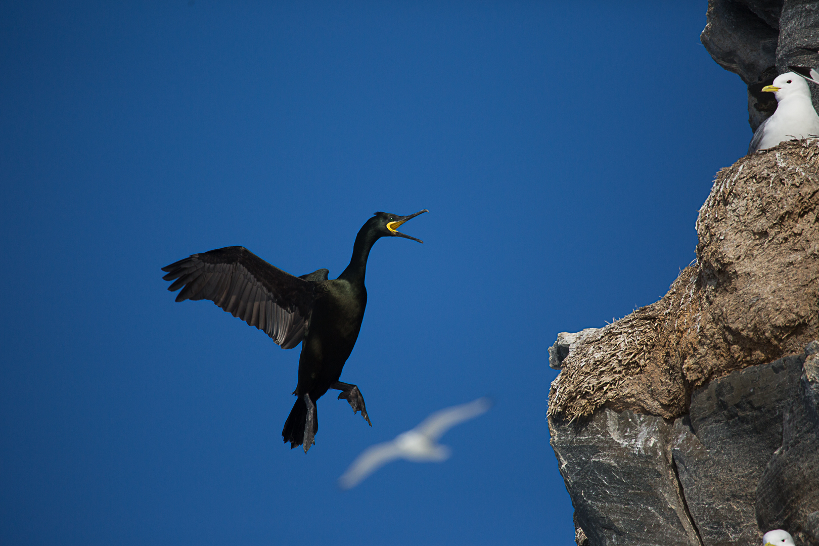 hey, that's my place!