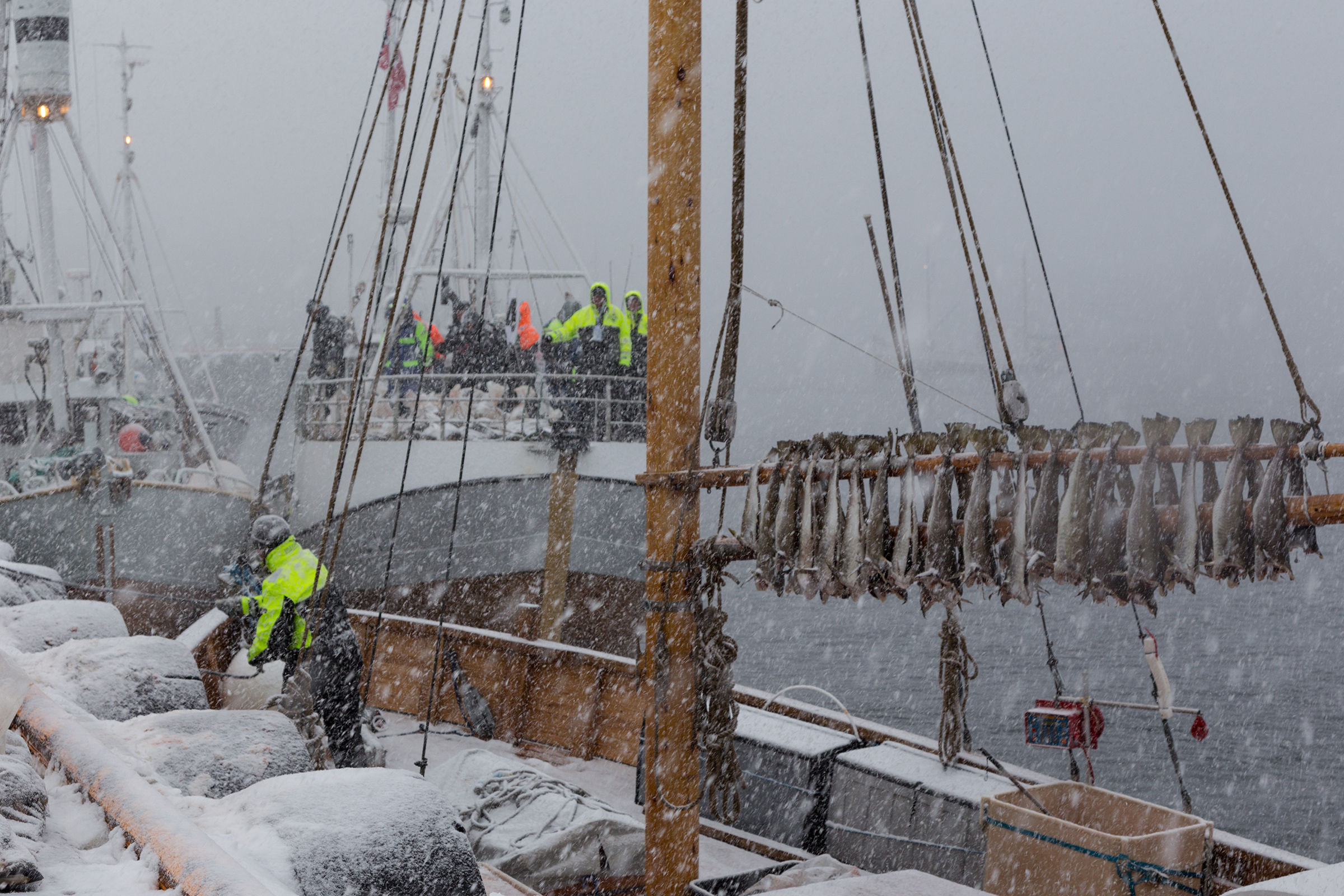 World Championship in cod fishing