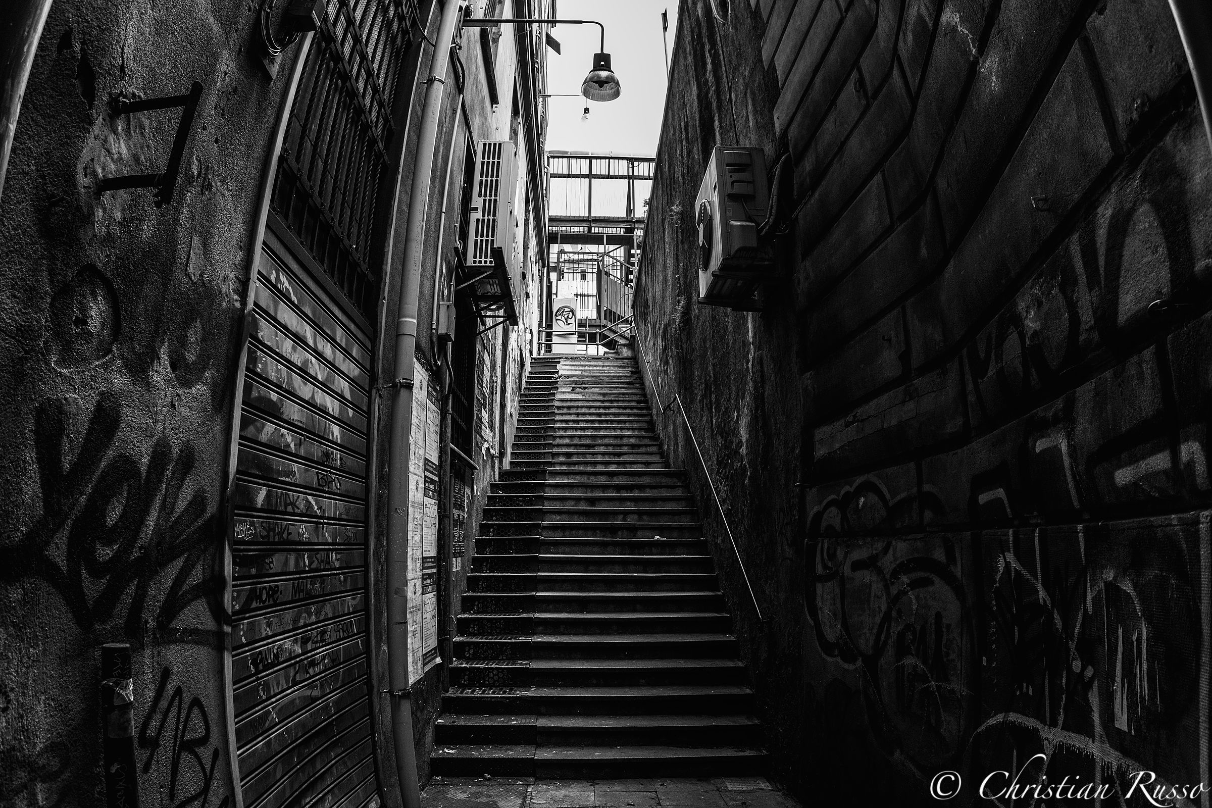 Eye (fish) in the alley