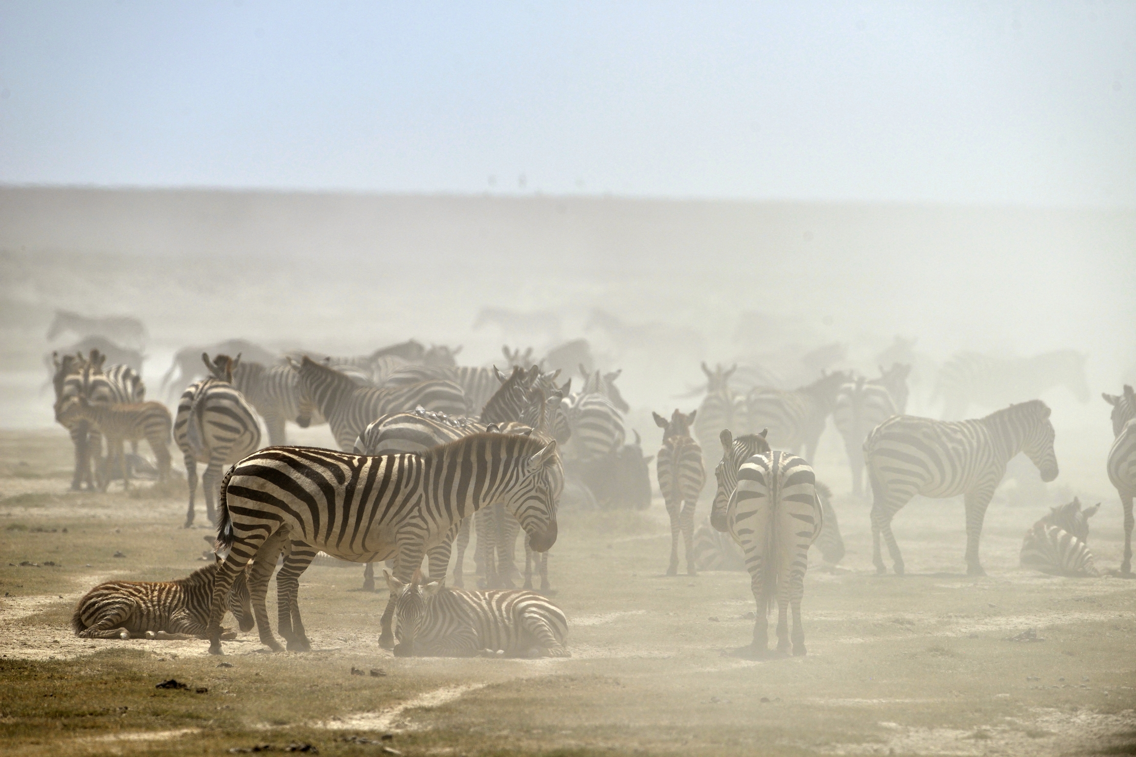 Tanzania 2015 - Migrazione