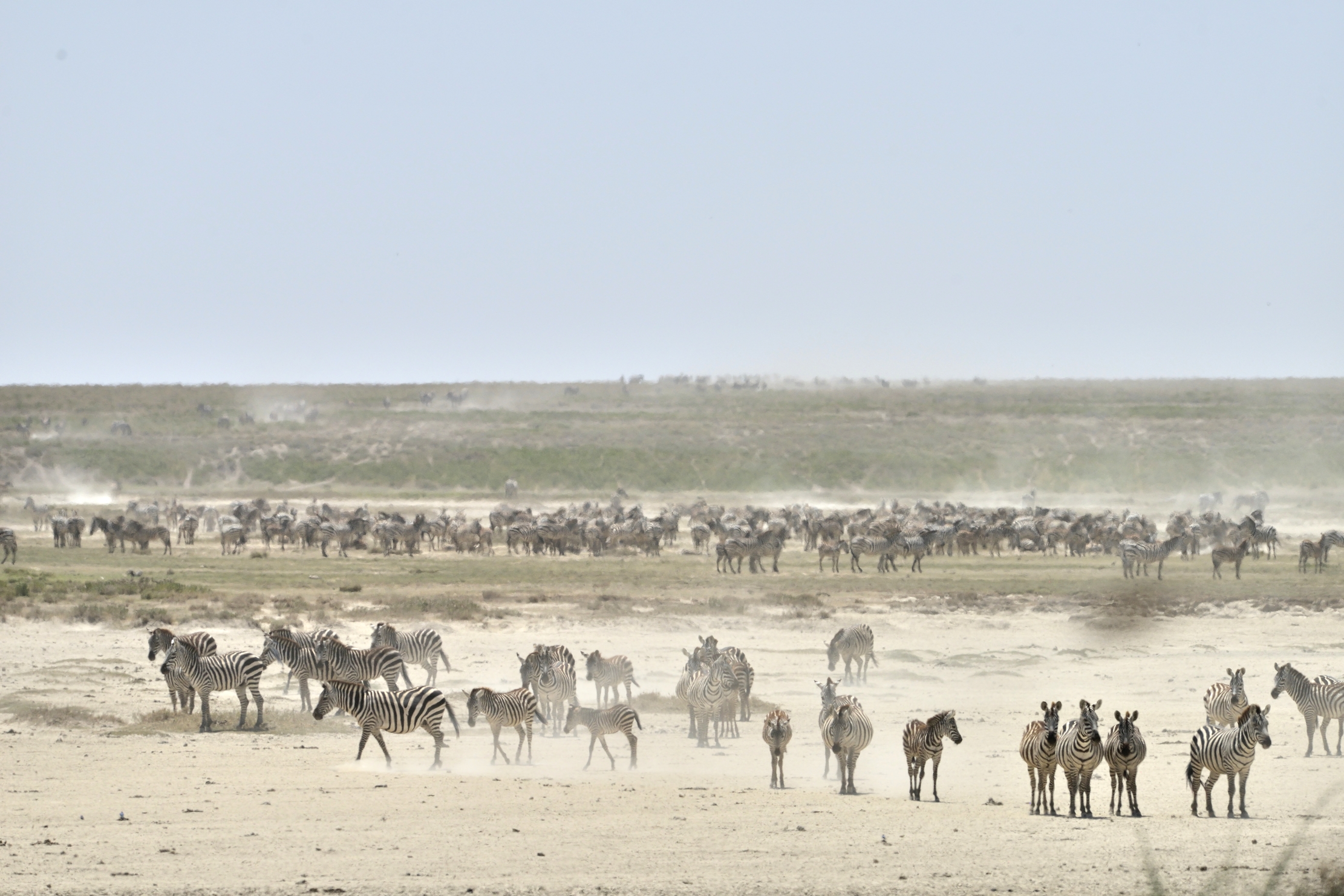 Tanzania 2015 - Migrazione