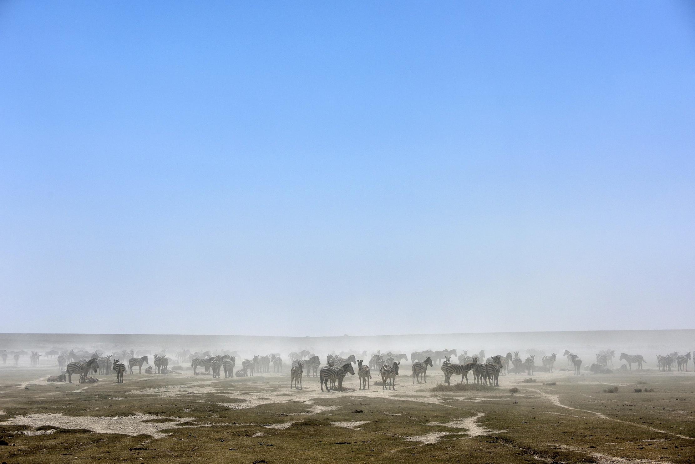 Tanzania 2015 - Migrazione