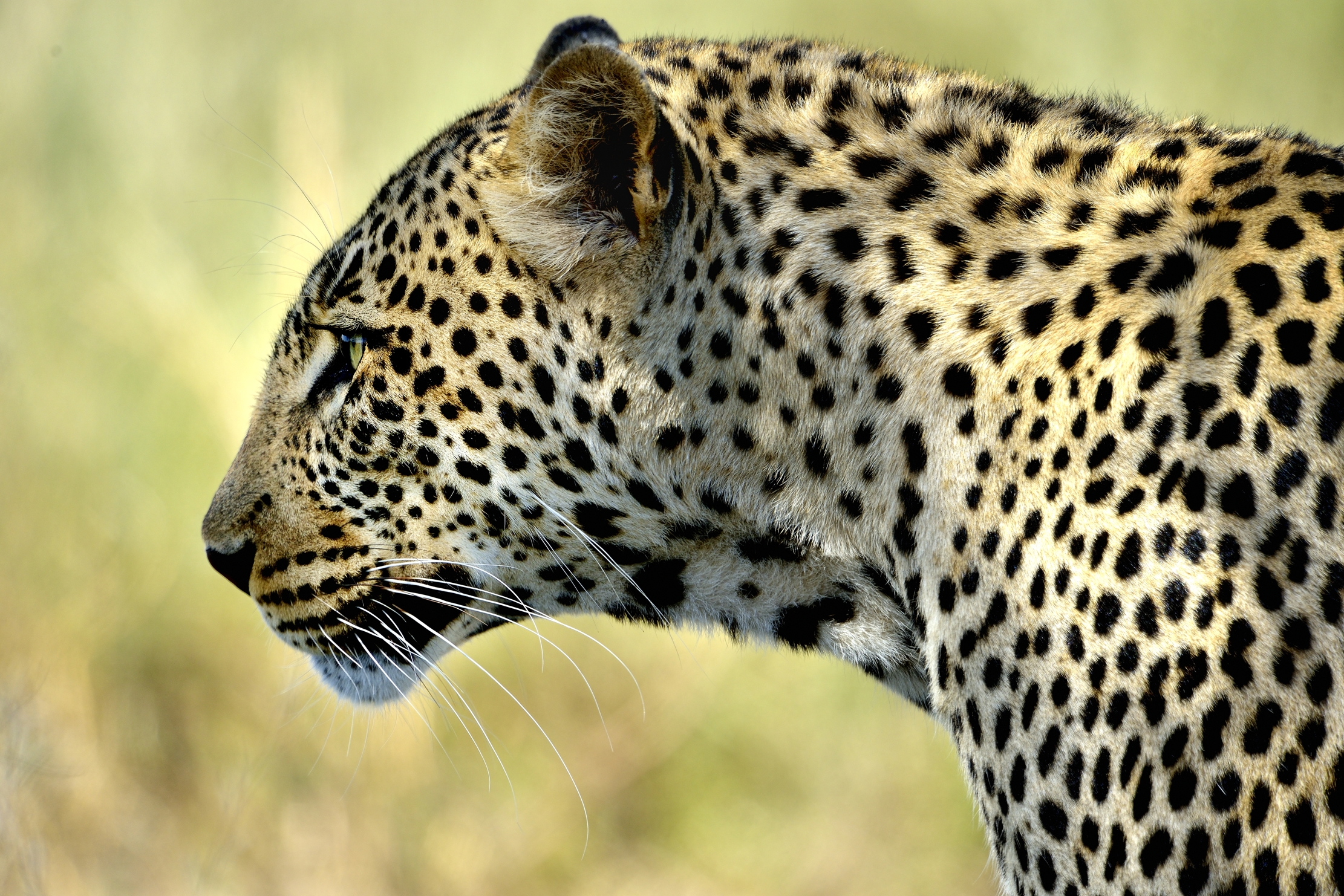 Tanzania 2015 - Profilo