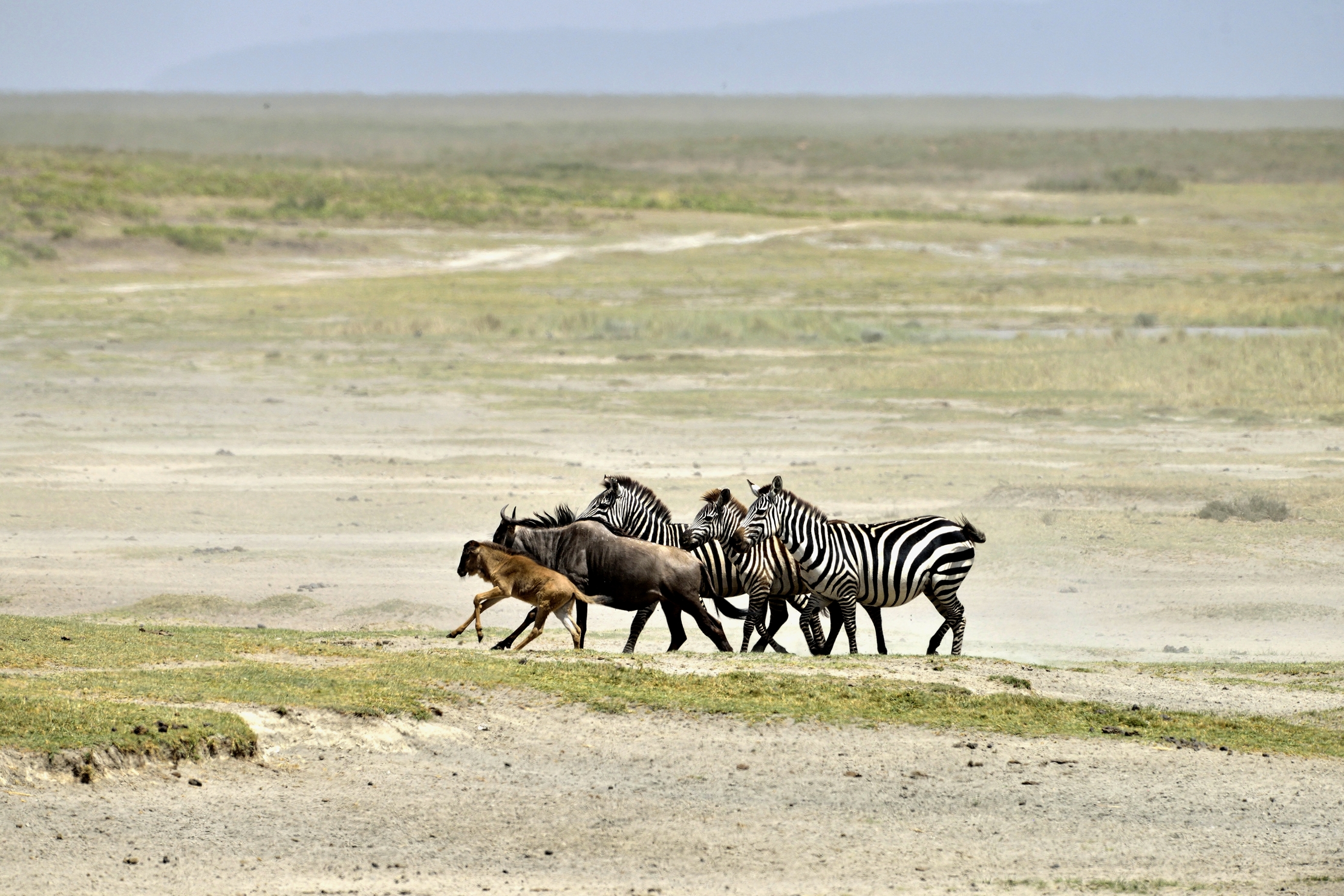 Tanzania 2015 - Migrazione