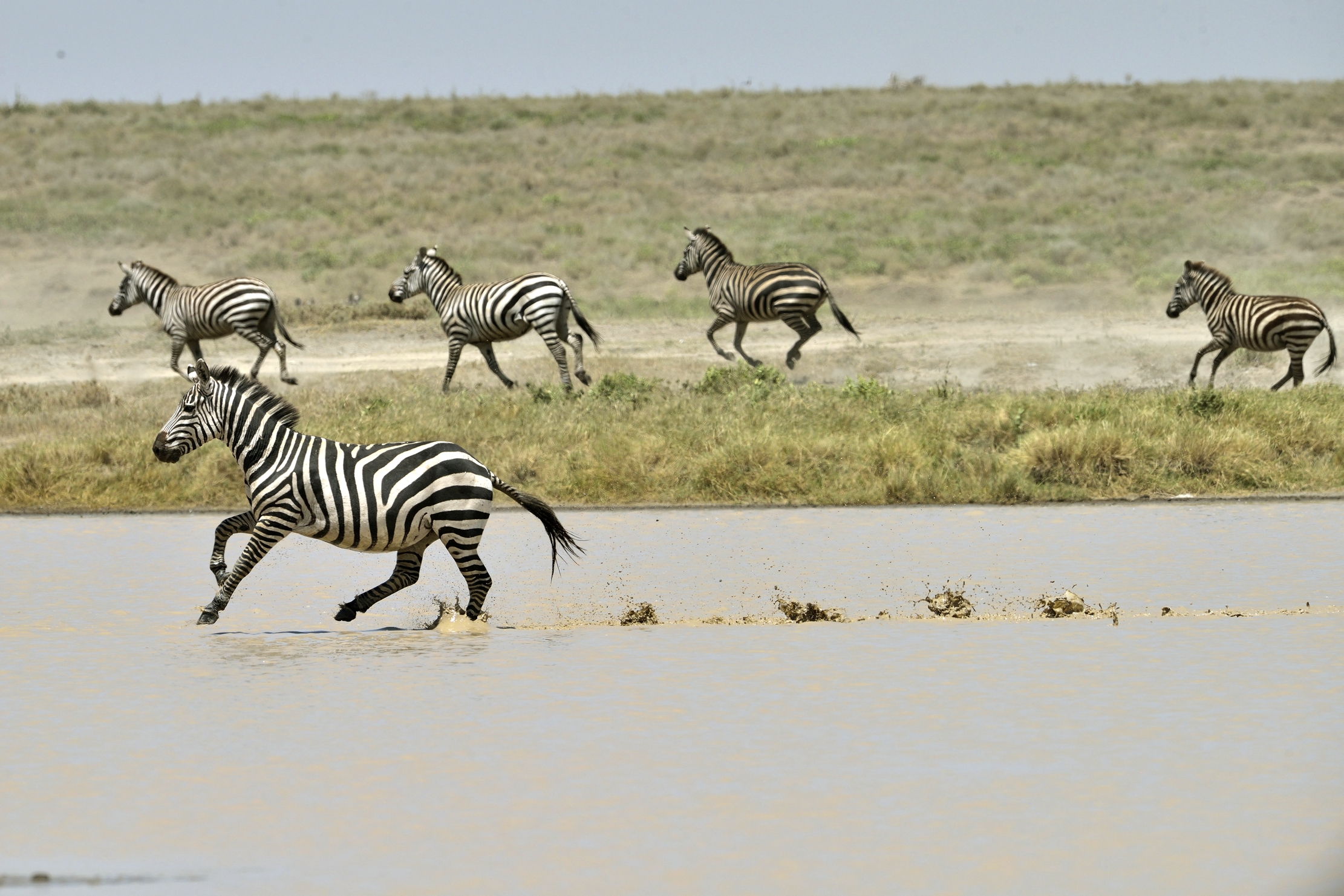 Tanzania 2015 - Migrazione