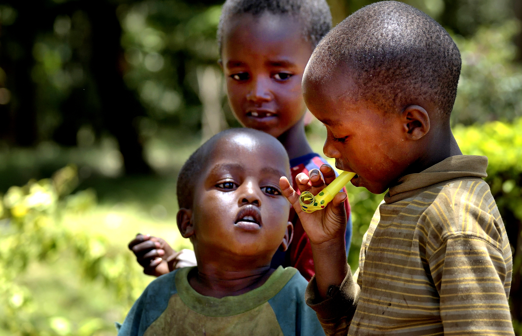 Tanzania 2015 - Trombetta