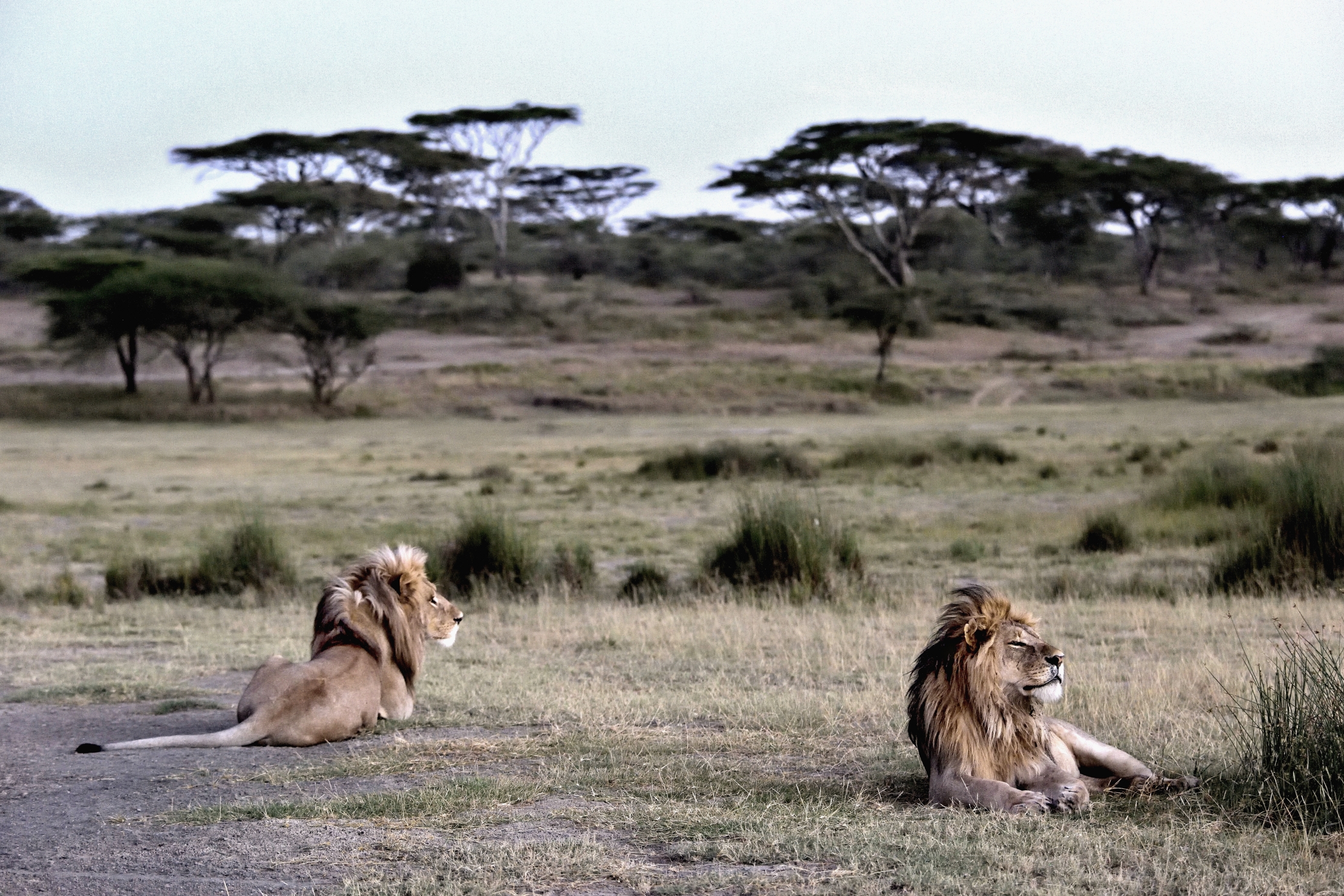 Tanzania 2015 - Alba sui fratelli