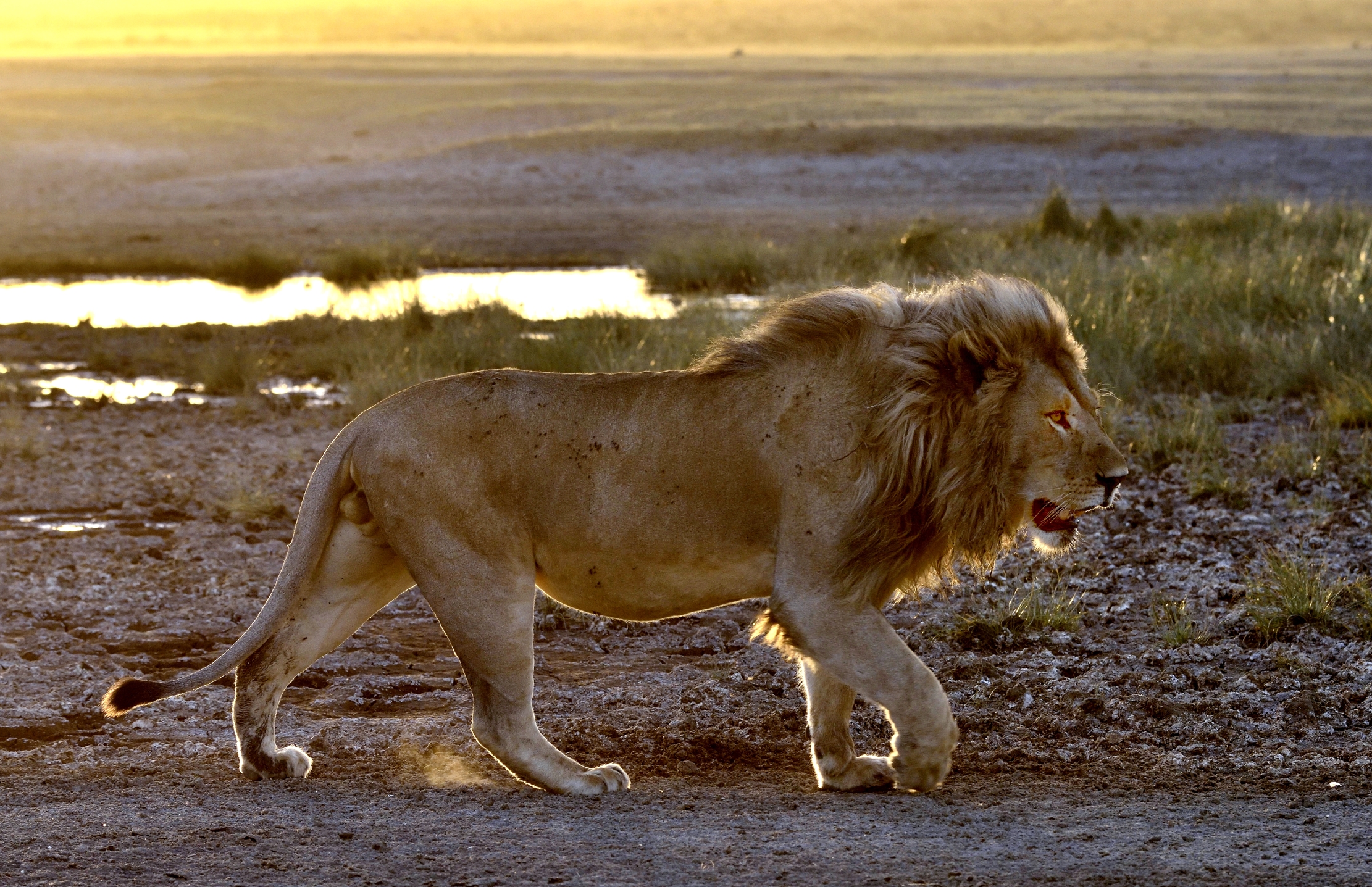 Tanzania 2015 - Al Tramonto