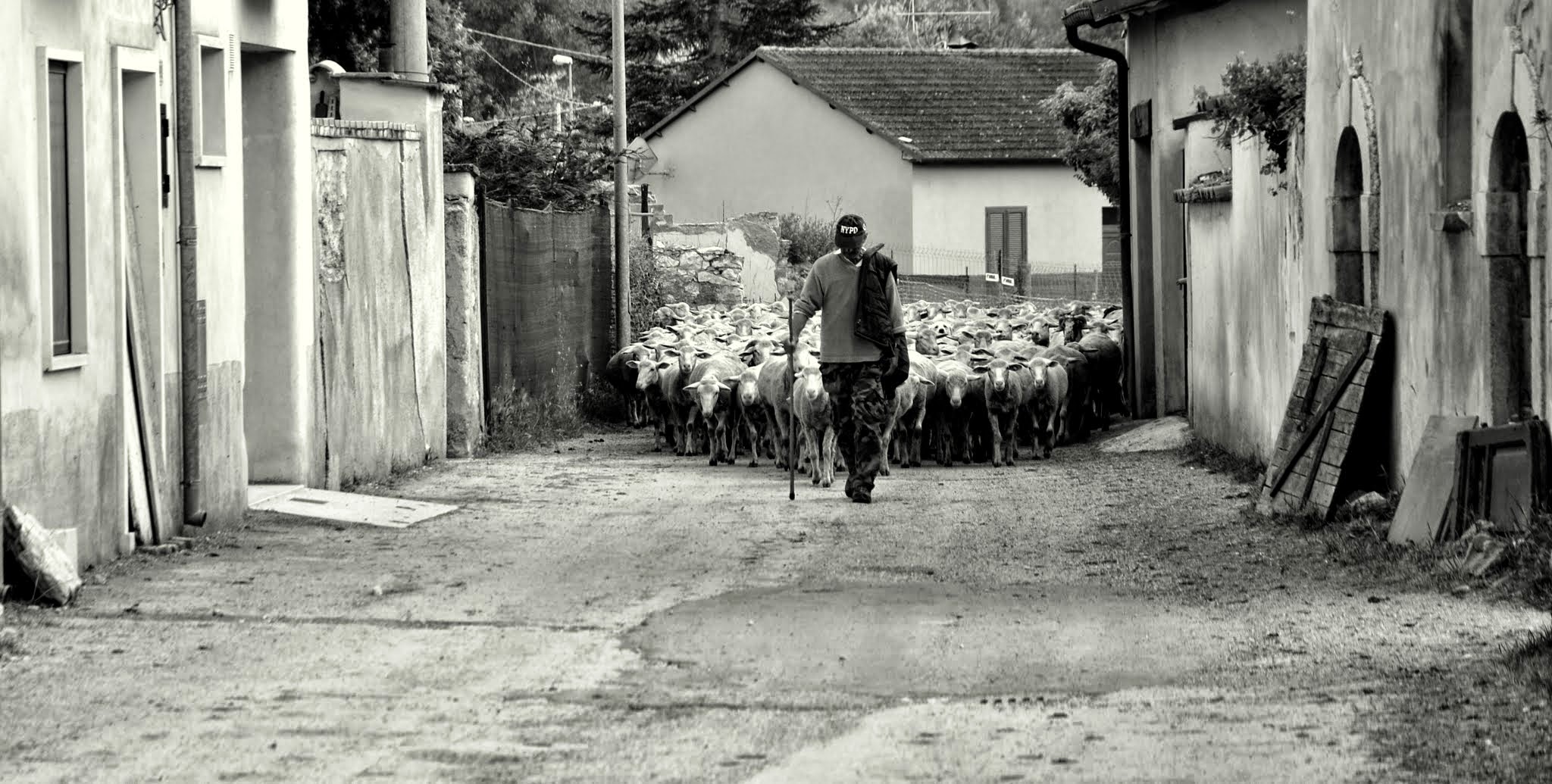 Silenzio e rispetto...