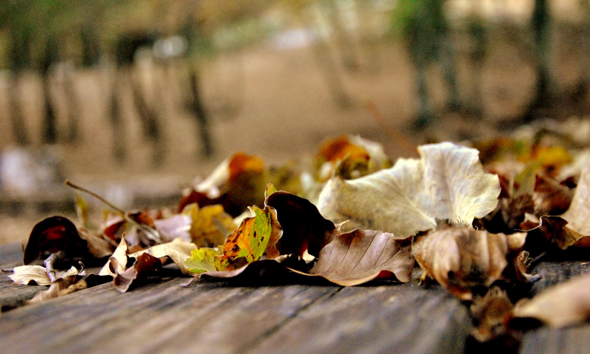 A palette of colors ...