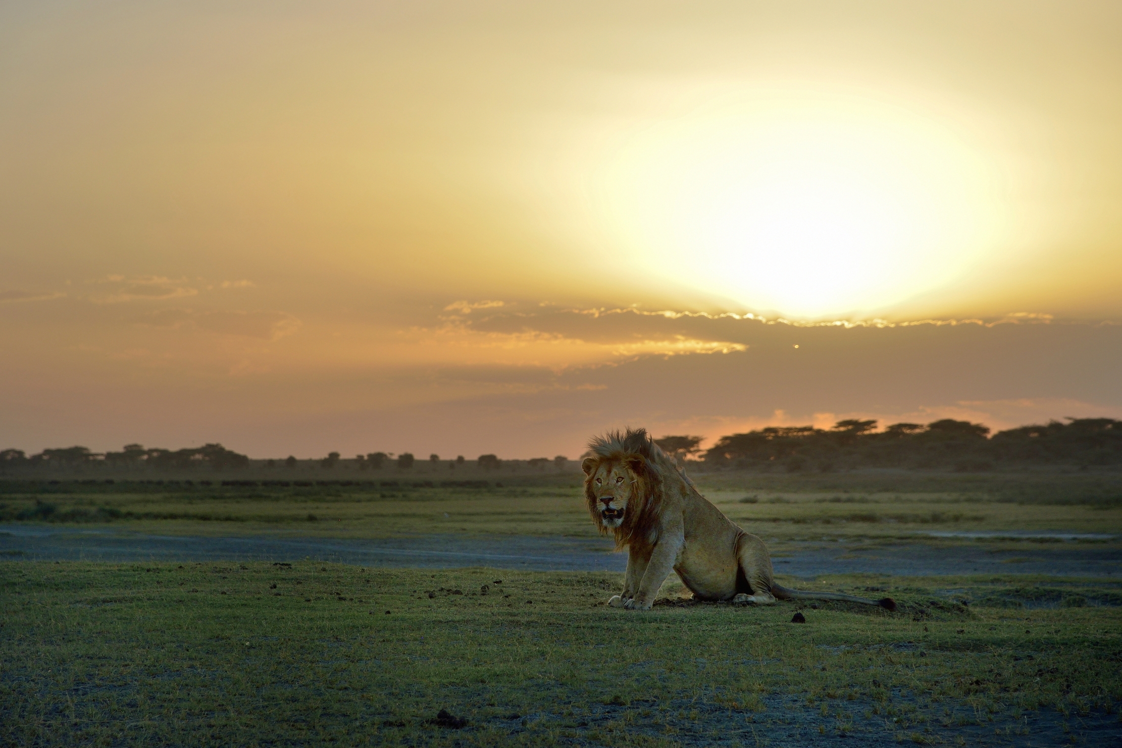 Tanzania 2015 - Al Tramonto
