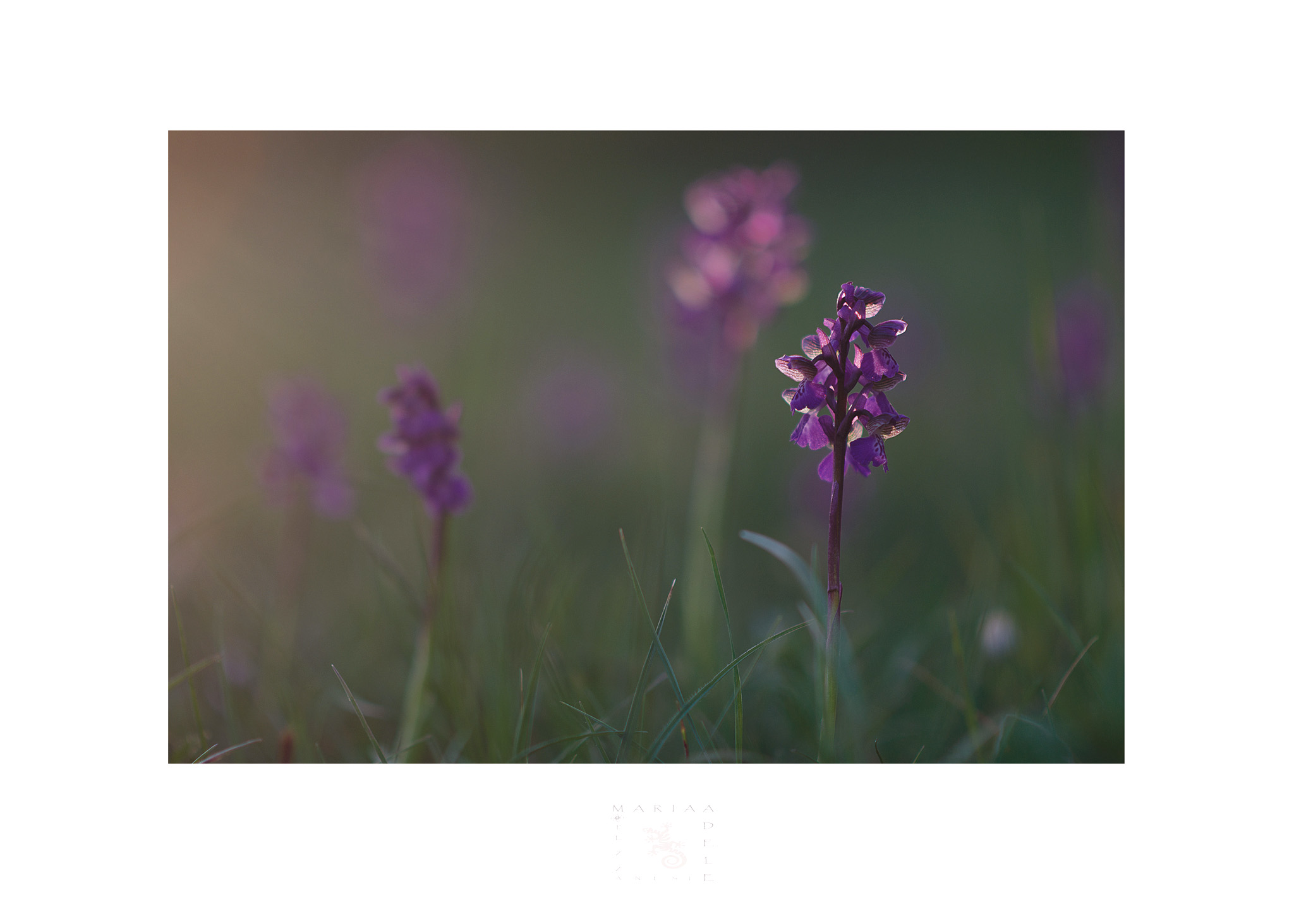 Last sun ... but today