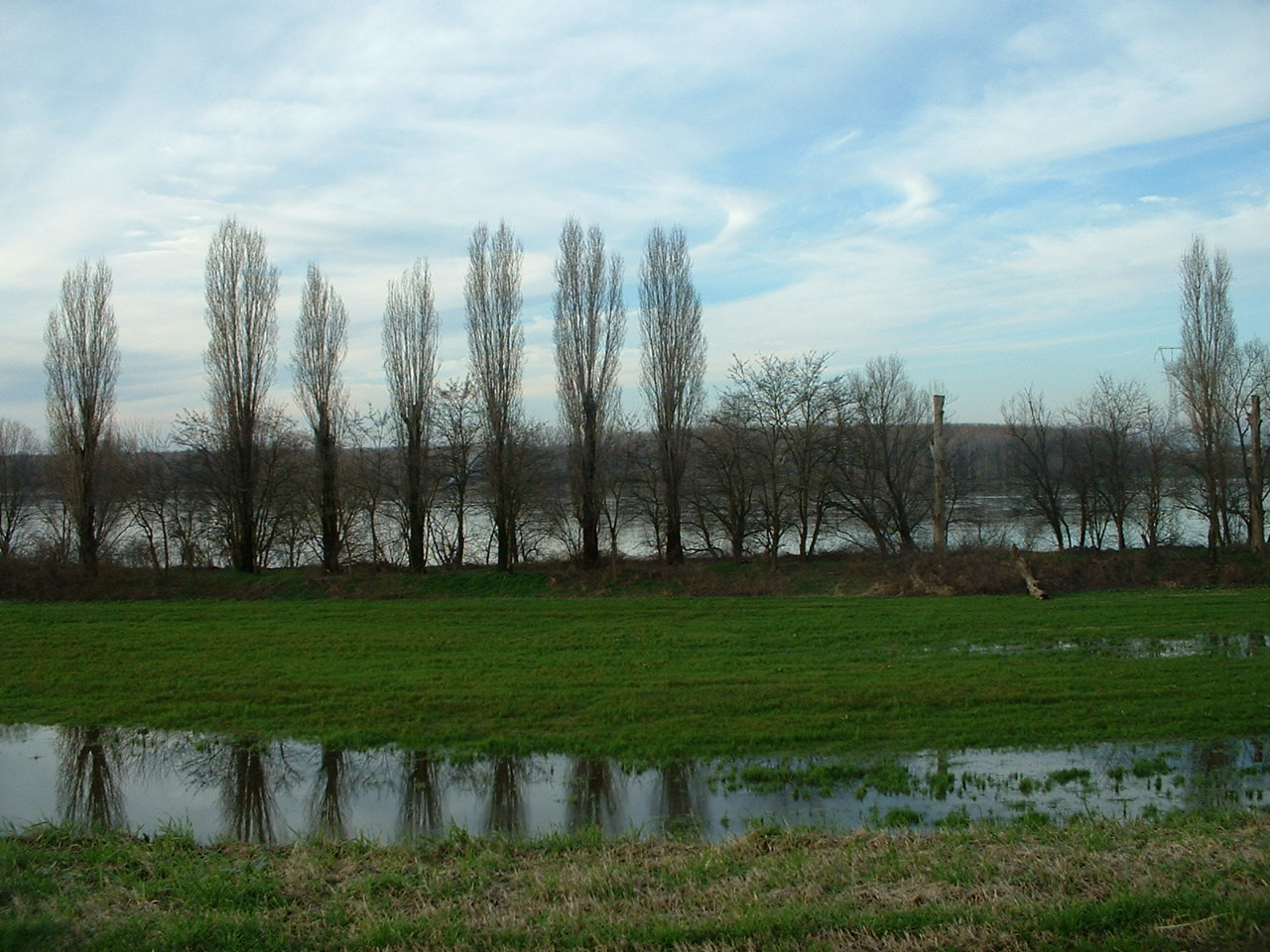 Between San Benedetto Po and Portiolo (mn)