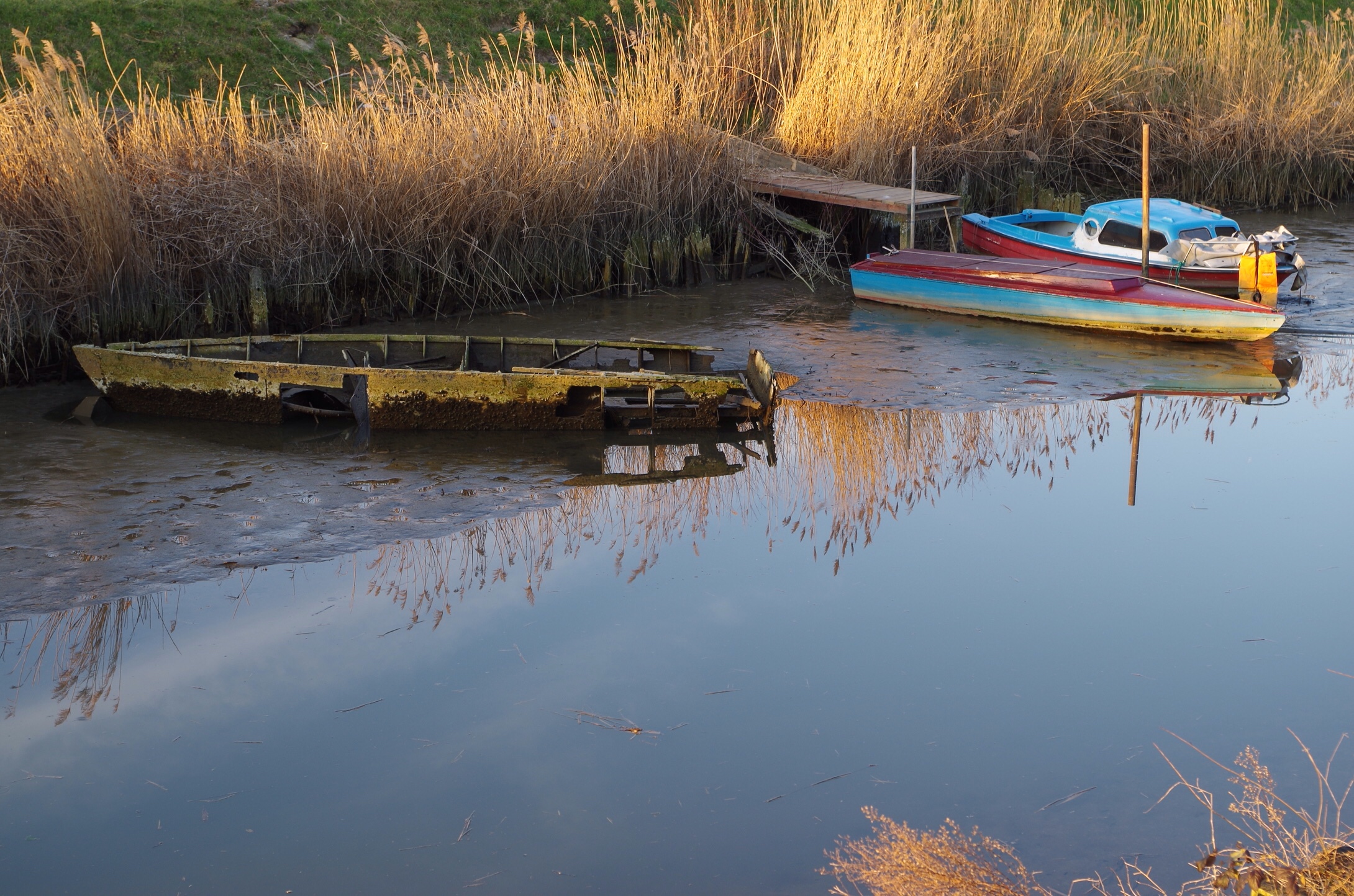 Vecchiaia e giovinezza