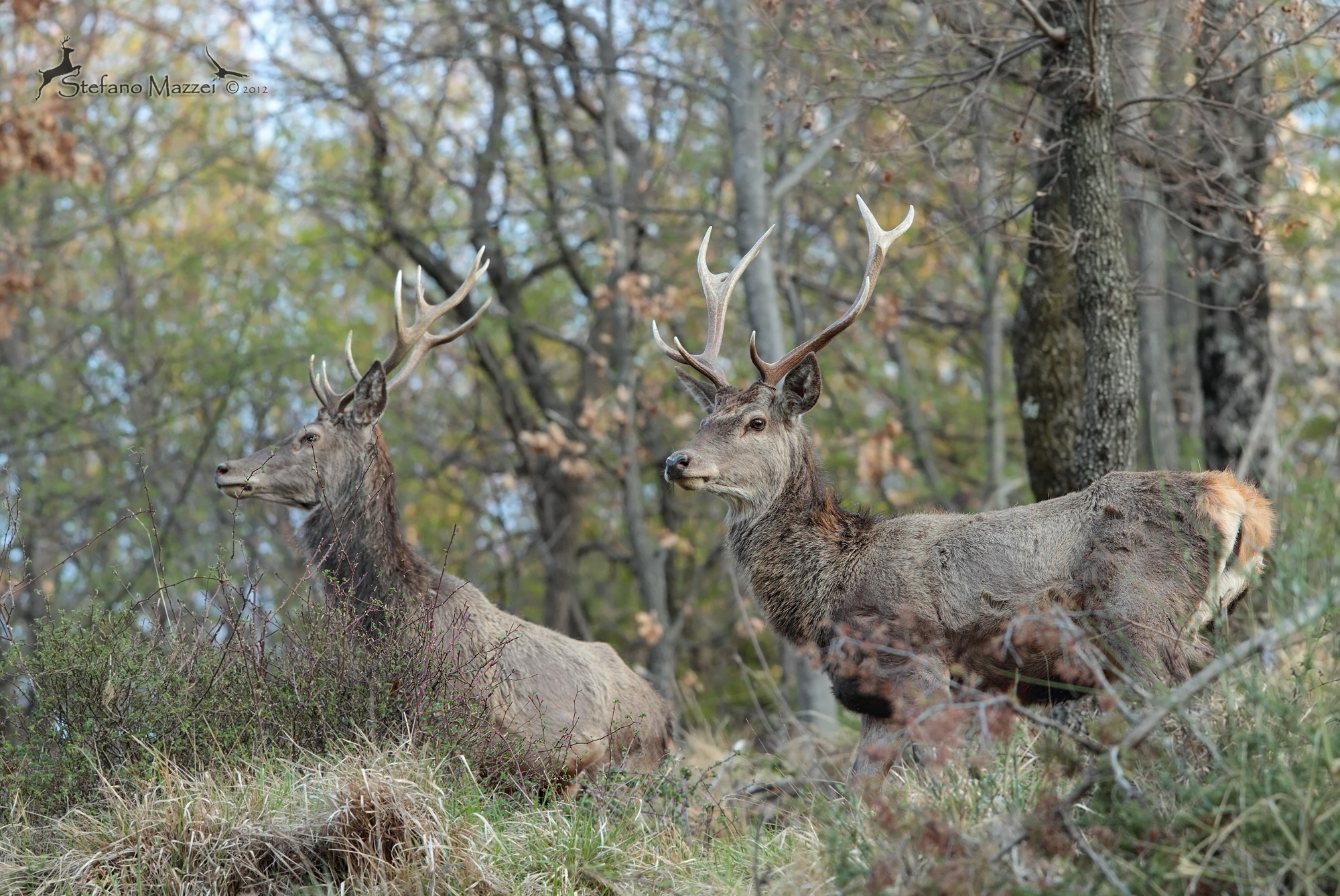Giovani e promettenti ...