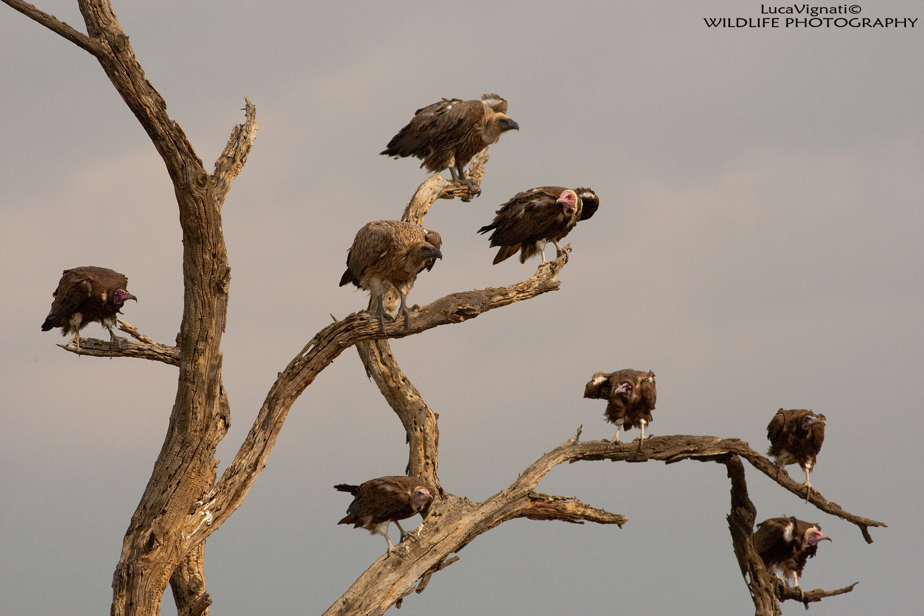 Is there still room?