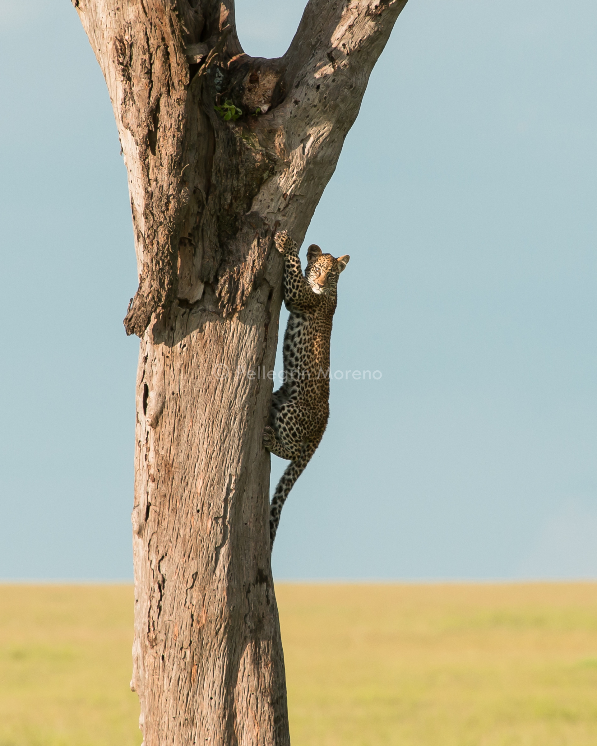 Help me I want to get off