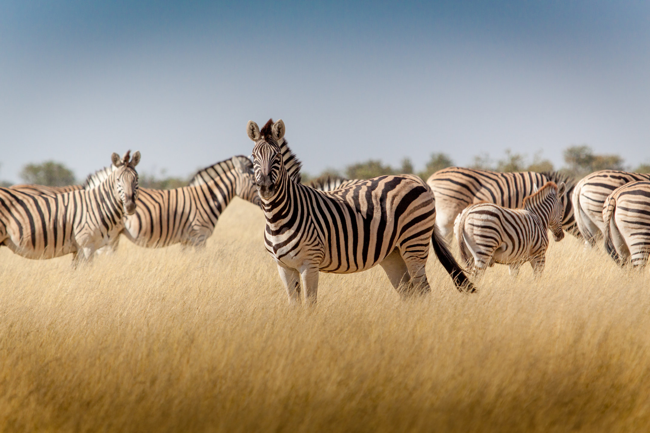 Di qui non si passa ...