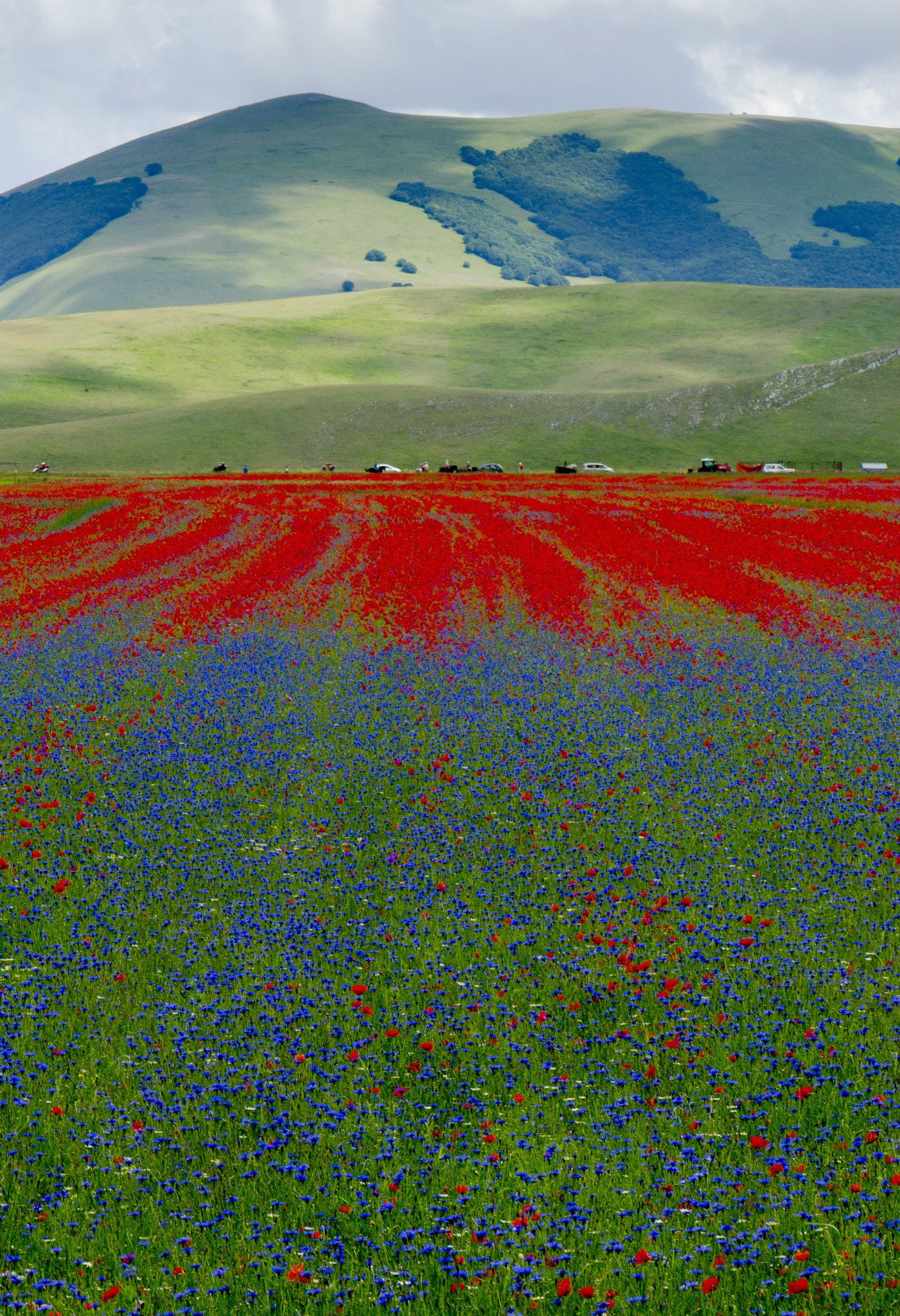 Castelluccio of Norcia