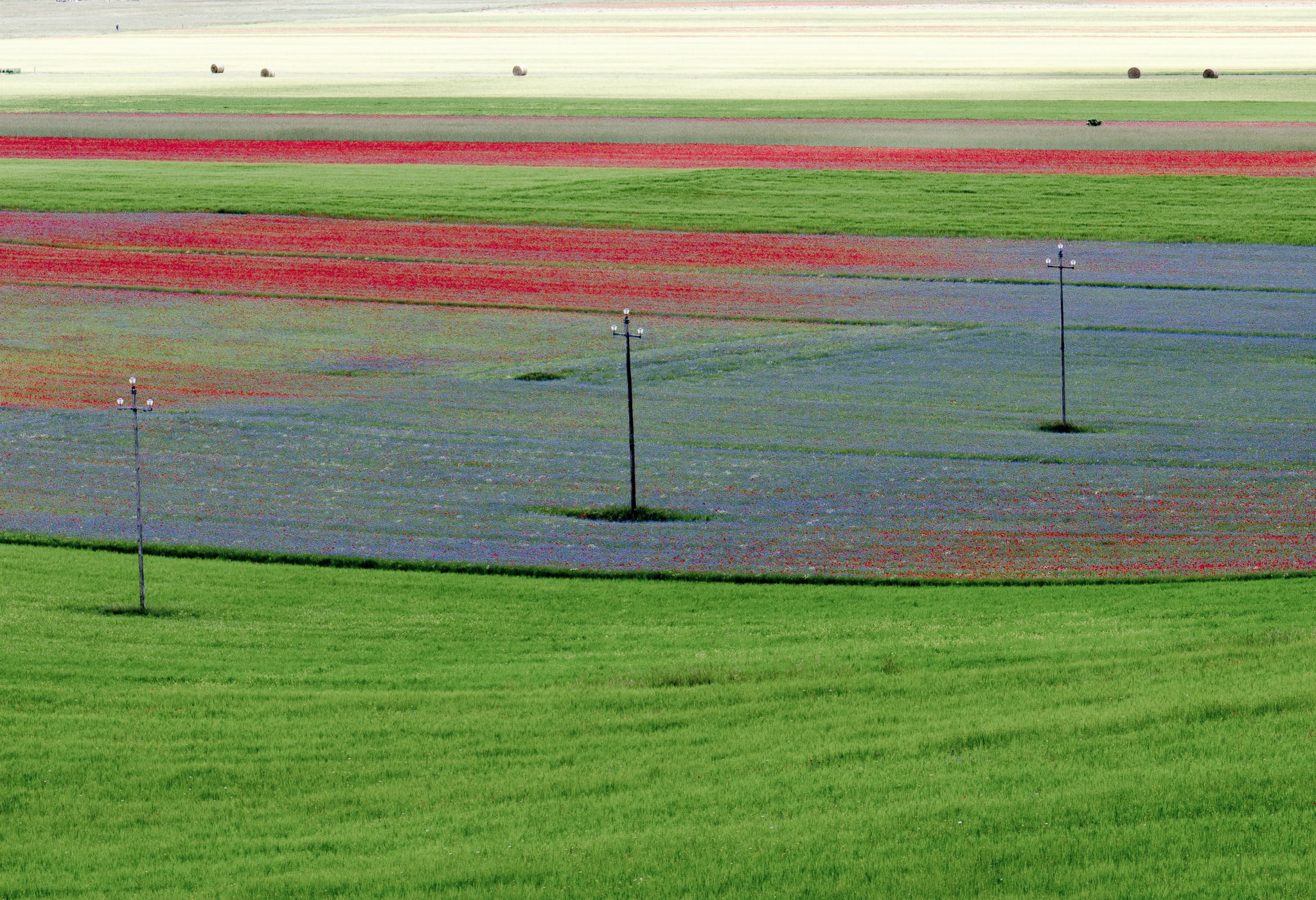 Castelluccio of Norcia