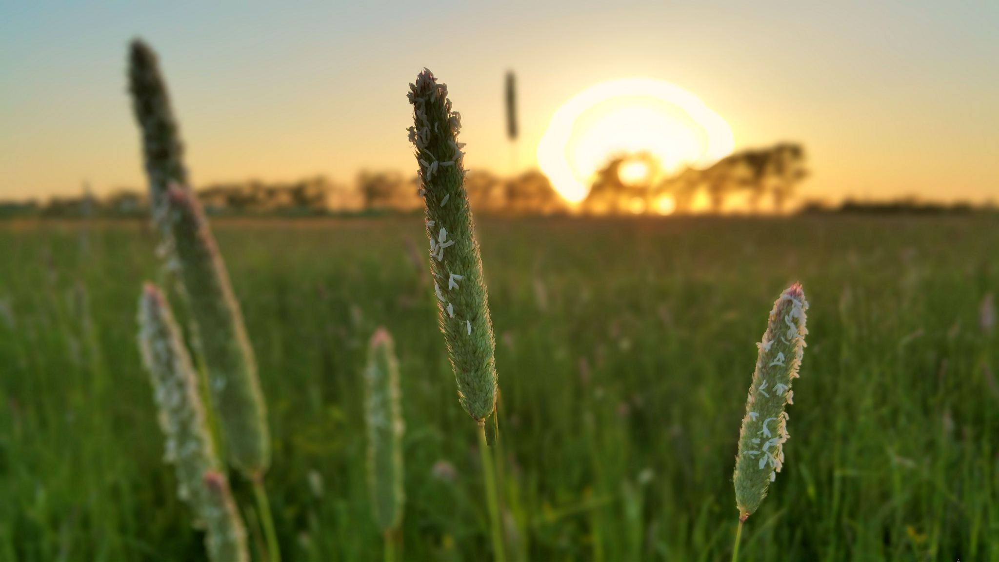 Tornando dalla.pozza