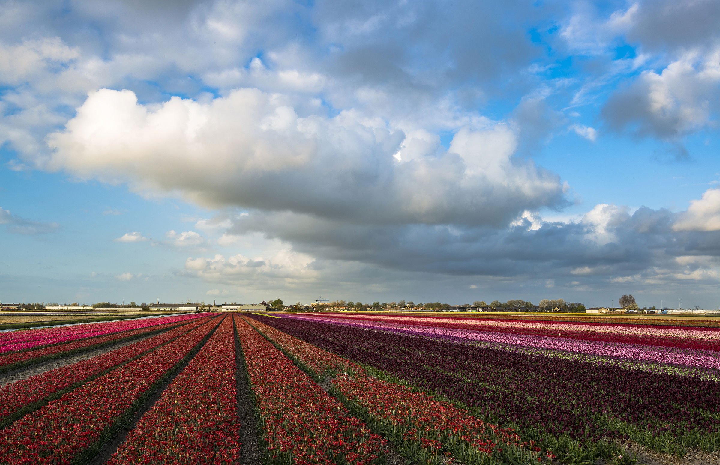 United Colours of Holland
