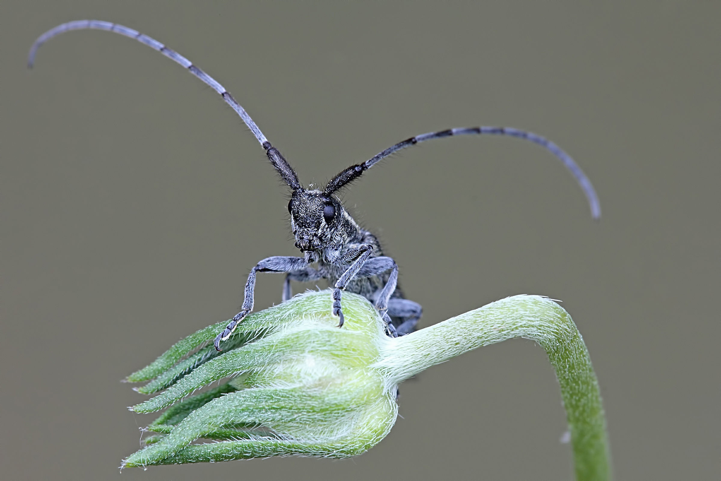 ... Something is moving !!!!